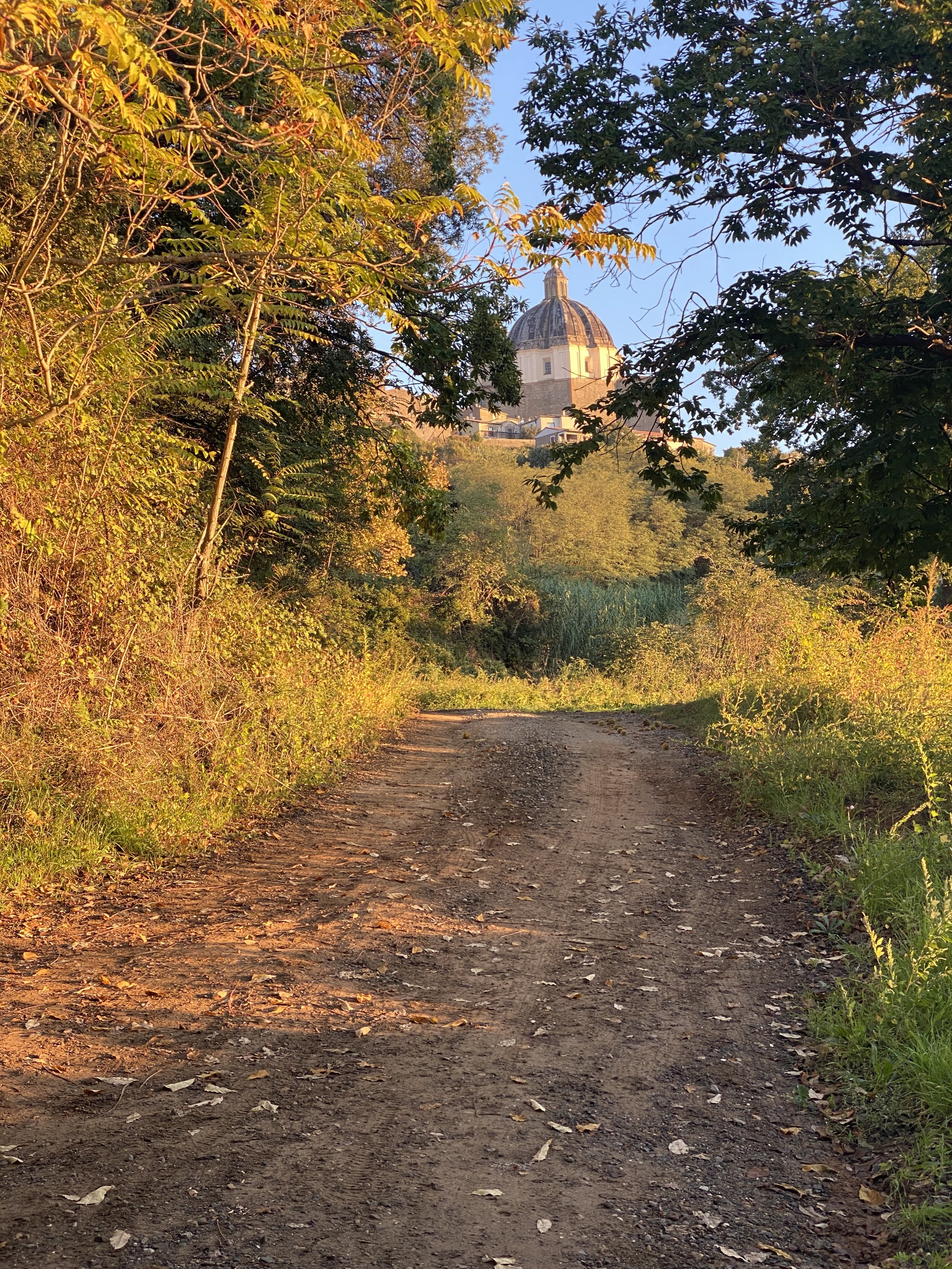 Looking back up to Montefiascone