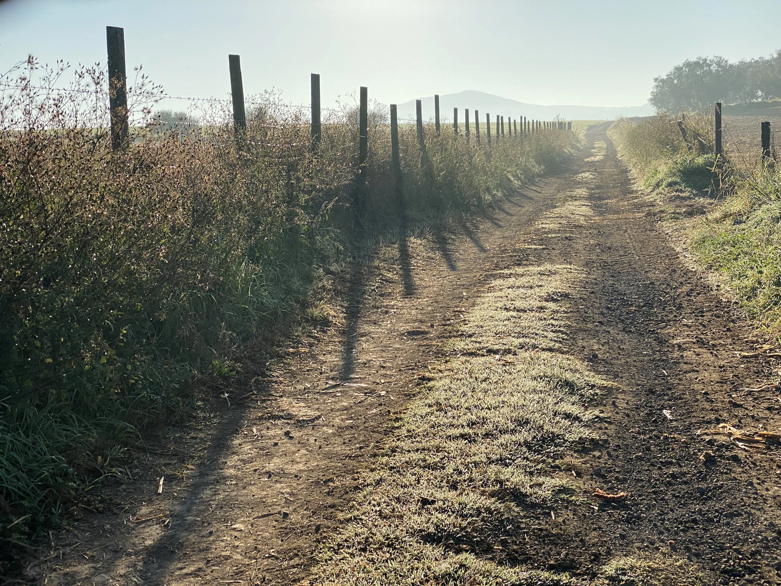 The land got flatter towards Viterbo