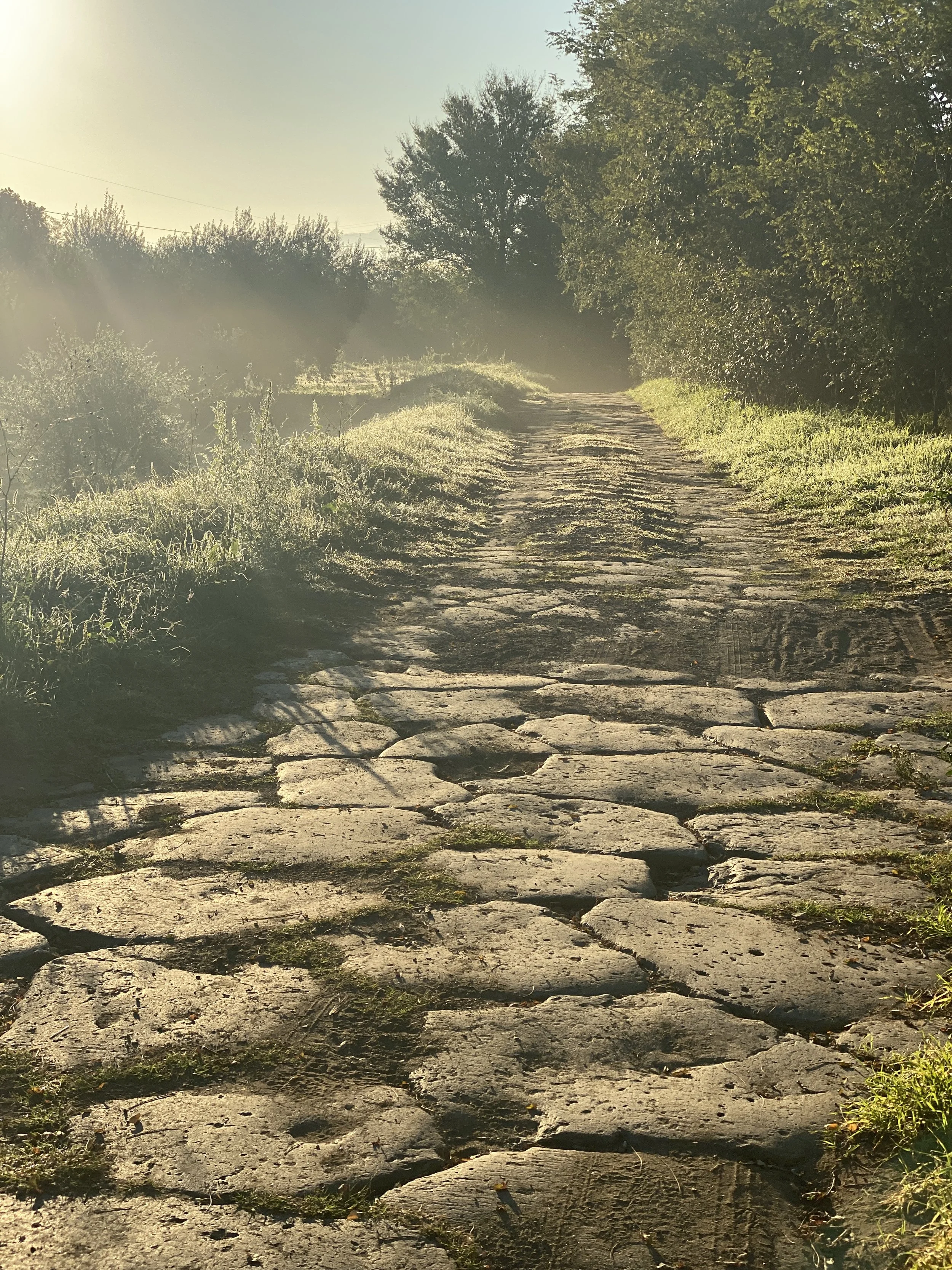 Montefiascone to Sutri, Day 38