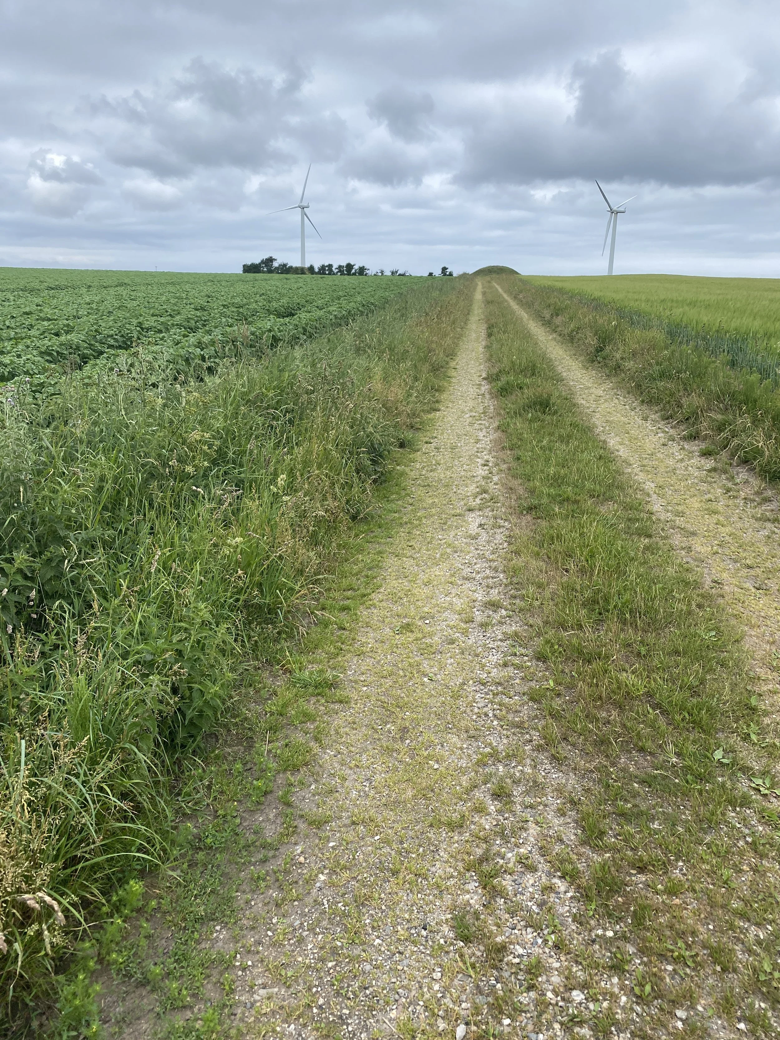 Day 1. (Copenhagen to Bedsted by train) Nørre Vorrupør to Hantsholm