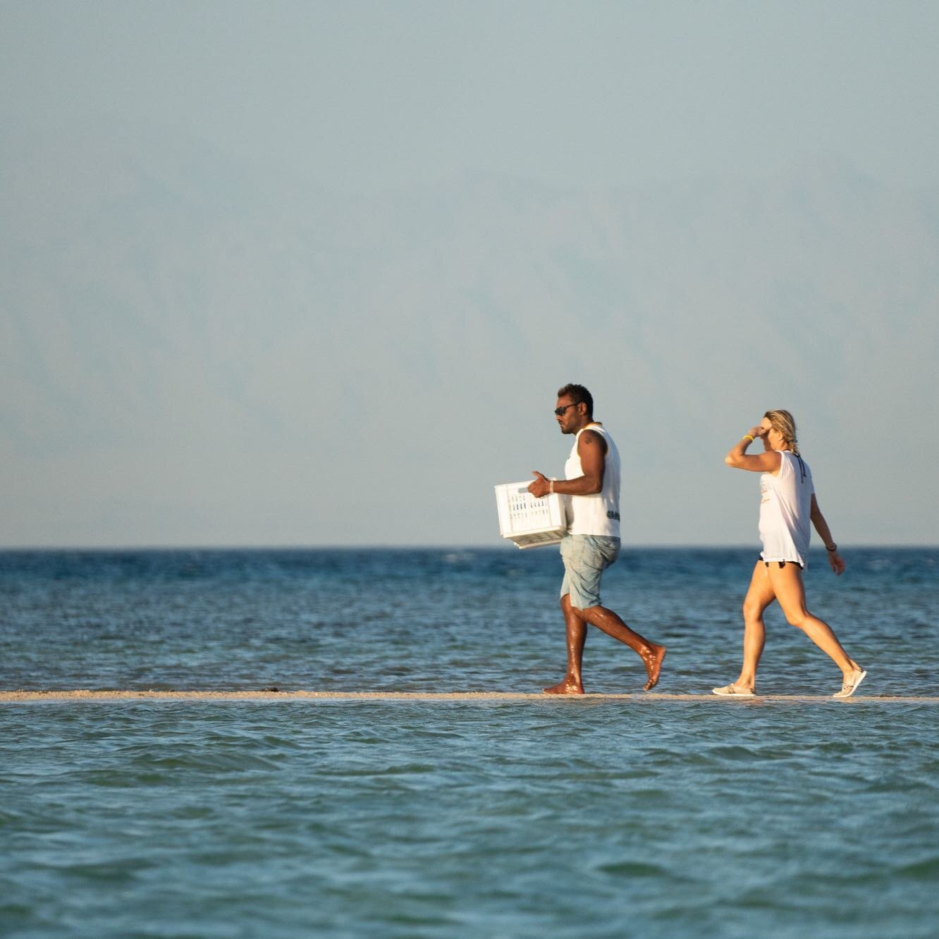 Snack delivery to the beach from an awesome crew! 

#kitecruise #kitesafari #egypt #boatlife #yachtlife #redsea