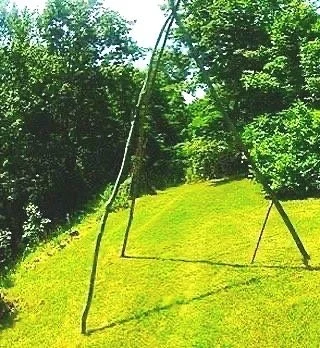 TeePee BRANCH SCULPTURE #77
