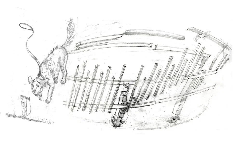 David-Macaulay-Stella-and-Fence_web.jpg