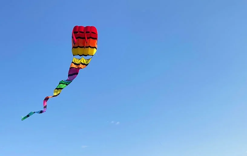 Henry-Romaine-Kites-Cropped3.jpg