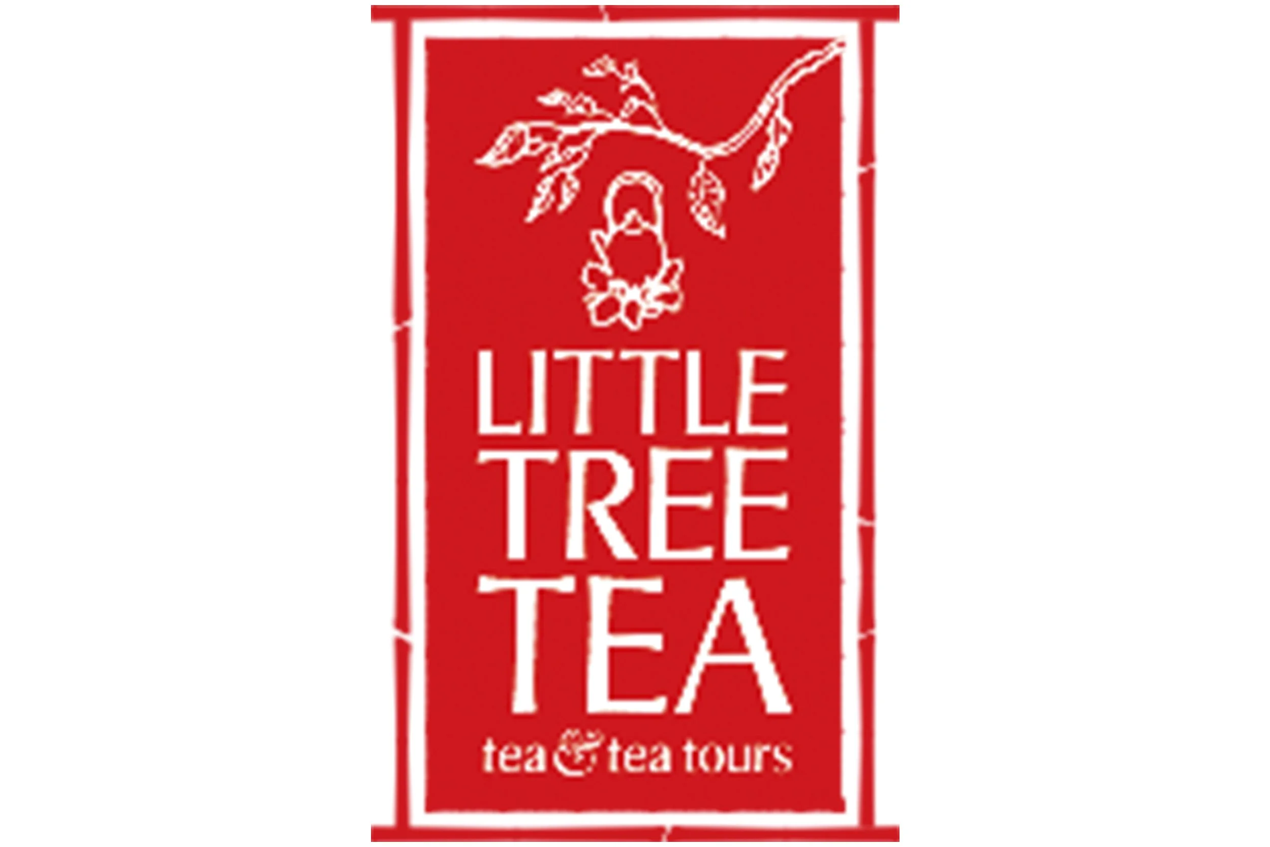Tea Tasting with Little Tree Tea Company