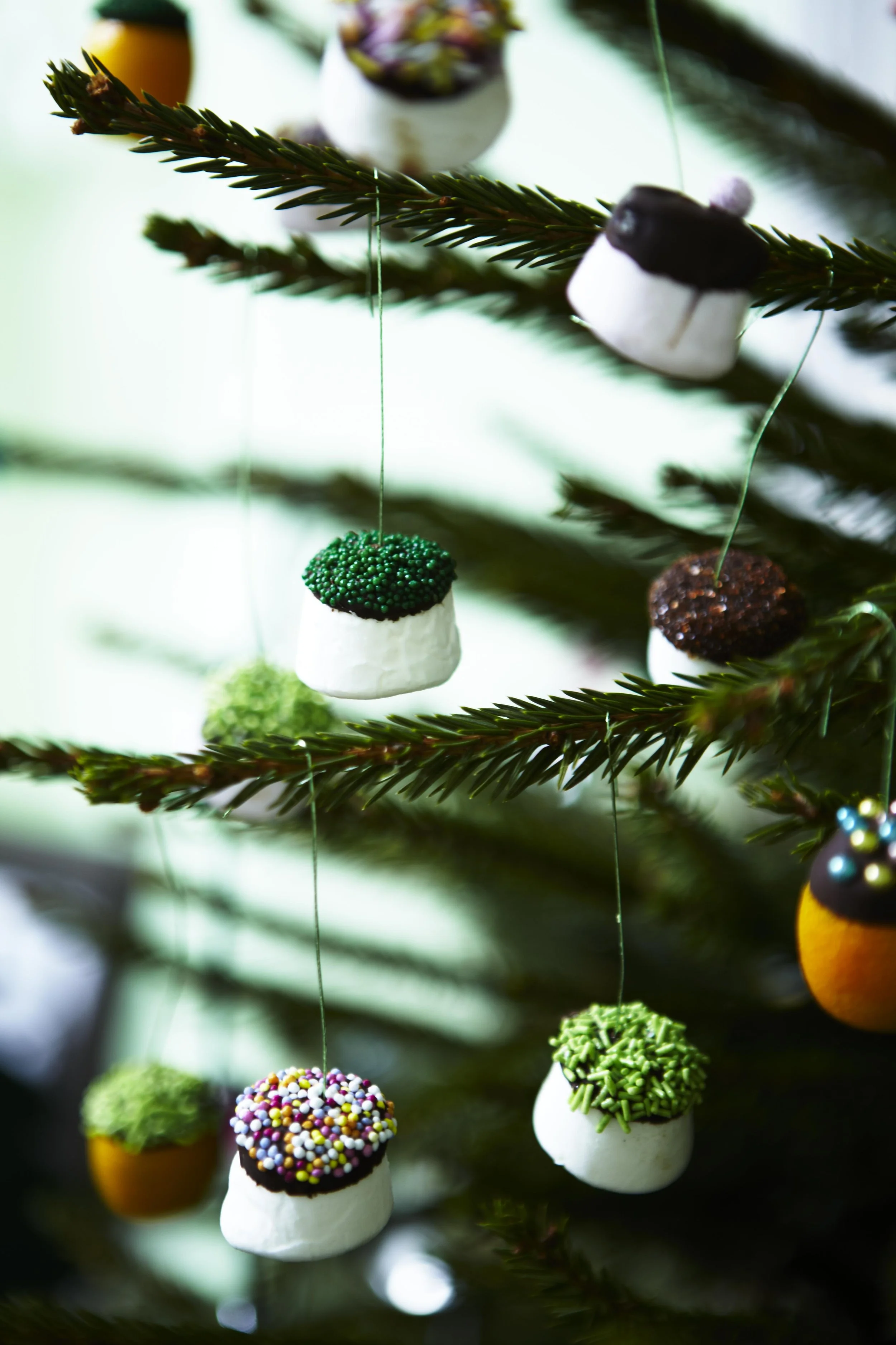 Edible Christmas Ideas