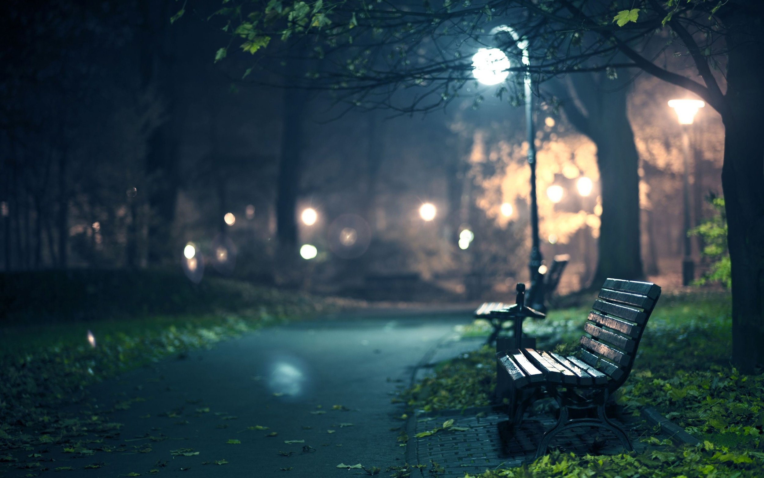 wallpaper-2839632.jpg
