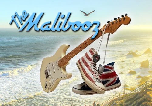 MaliboozLogoShoes copy.jpg