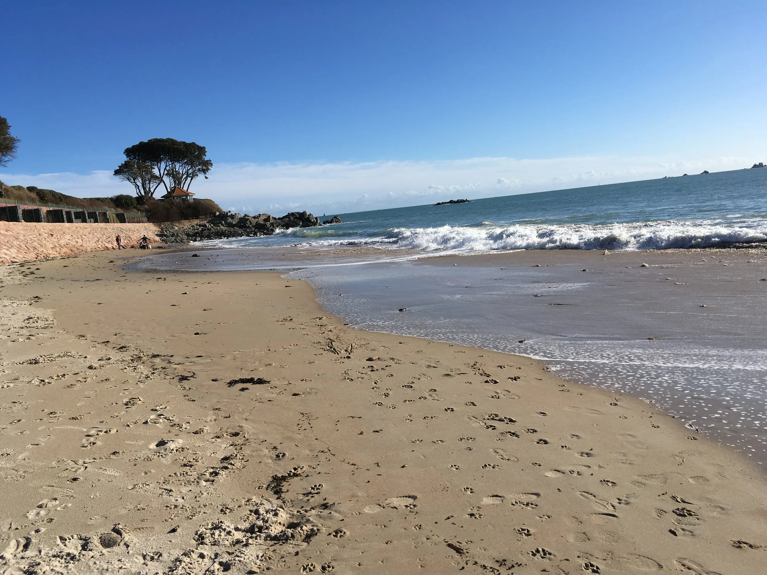 Green Island Beach Jersey by Kary Day