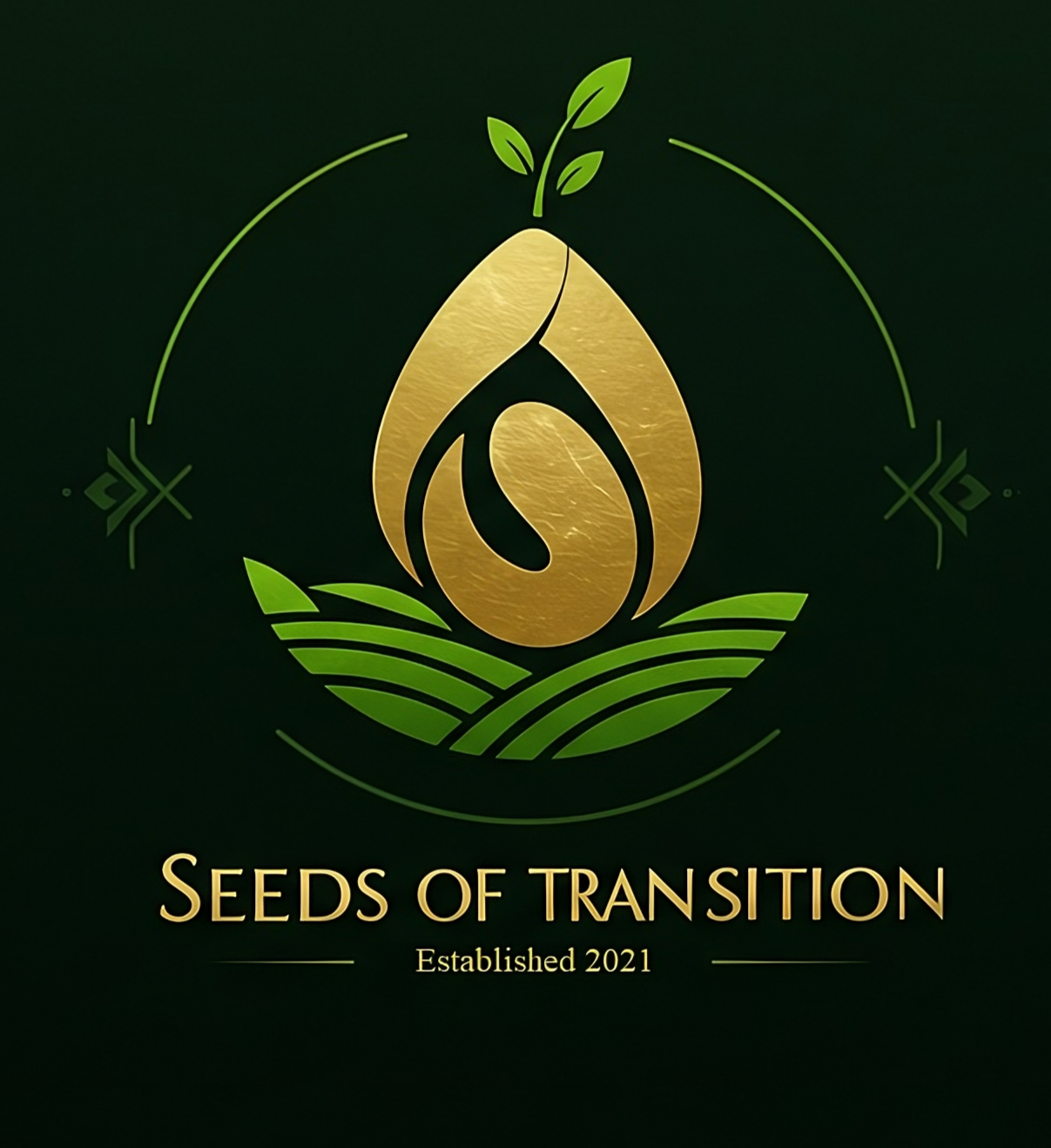 Mental Health Therapy & Counseling - Seeds of Transition (SOT)