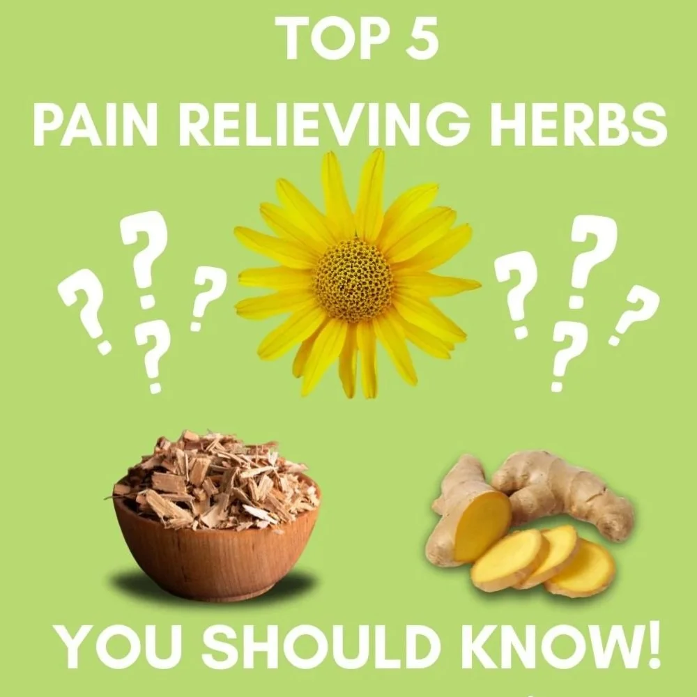 Top 5 Pain-Relieving Herbs
