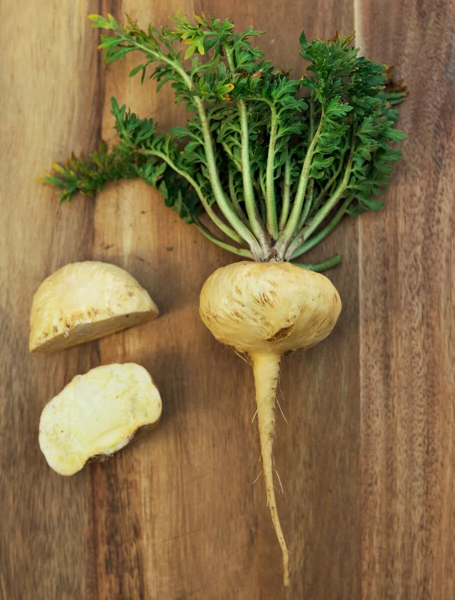 Maca Root Nature s Energy Booster Buckner s Botanica Maca Root Nature s Energy Booster Buckner s Botanica