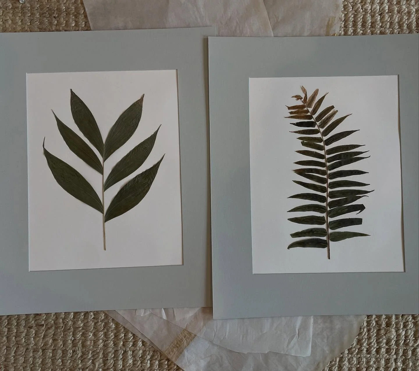 These two are part of a grouping of eight&hellip;.I think blue and green are the perfect couple. 🤎🌿