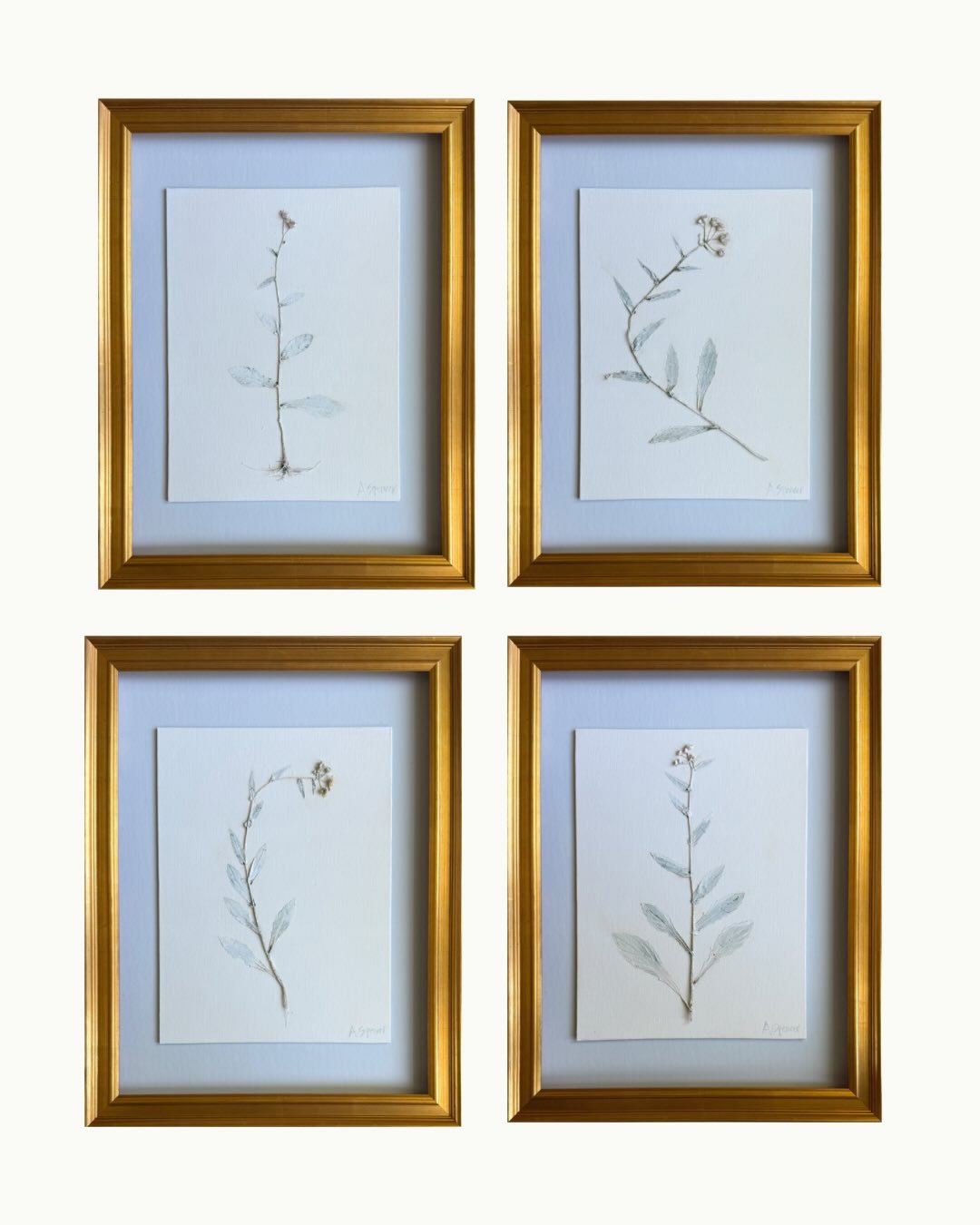 The @wellandwonder floral show starts on Wednesday! 🌿

These pieces made with real wild flowers&hellip;specifically Erigeron, (also called Fleabane), a native wildflower throughout much of North American, and blooms in Louisiana in late winter/ earl