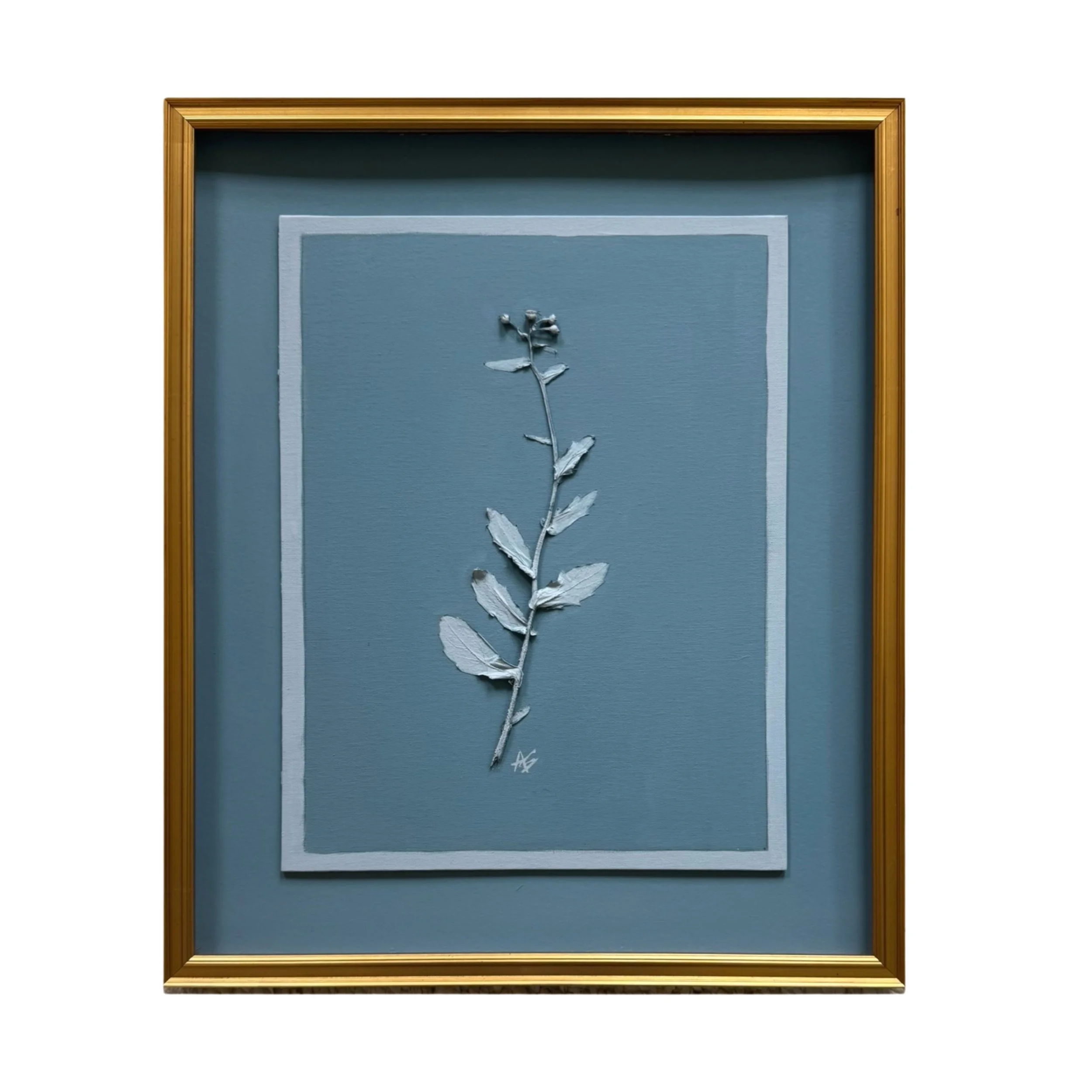 Blue Erigeron - The Wonder Collection