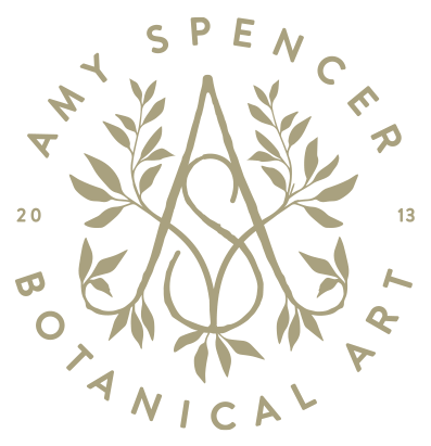 amy spencer botanicals