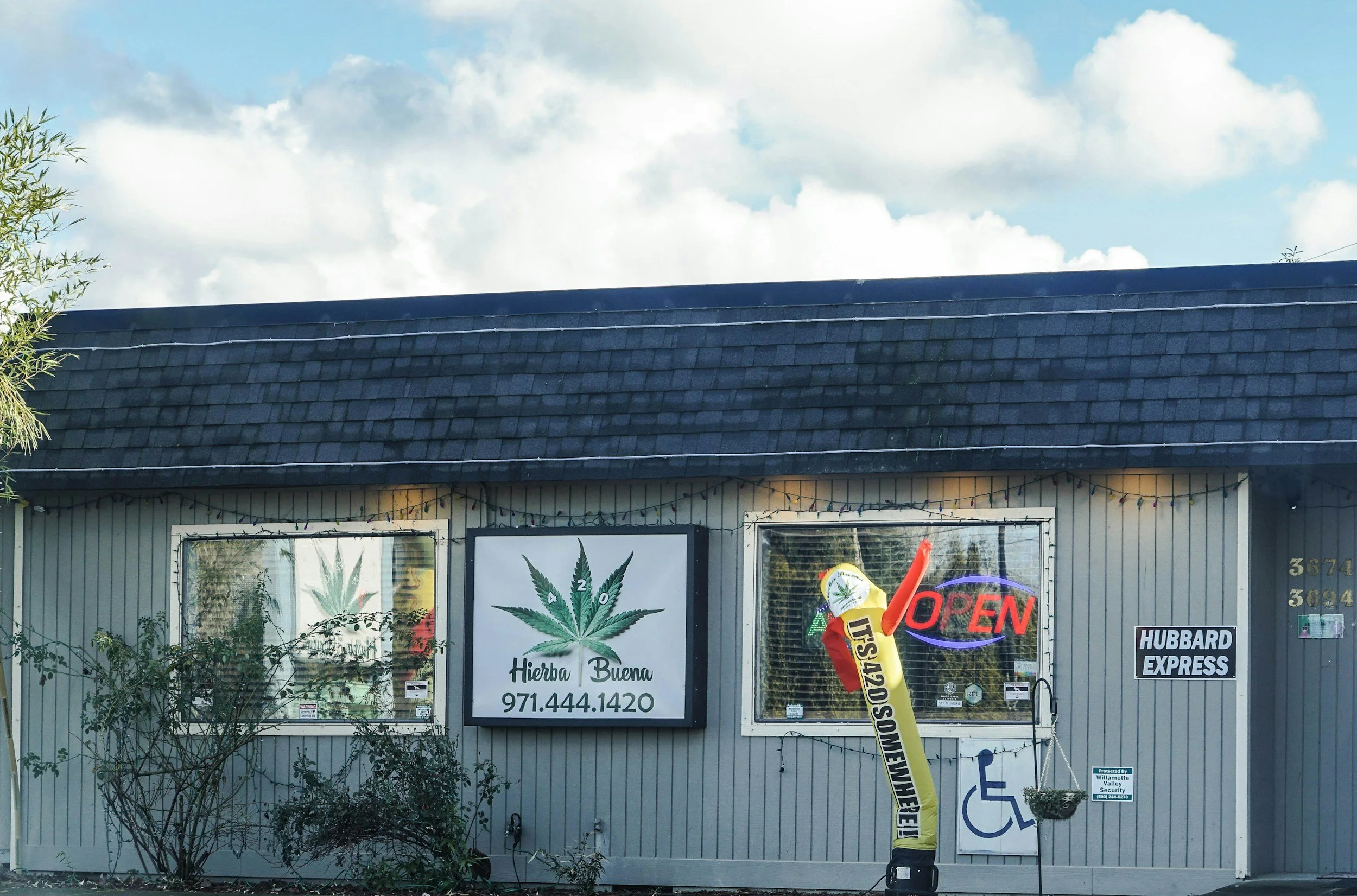 Pot shops on every corner - Local Opt-Out Nixed!