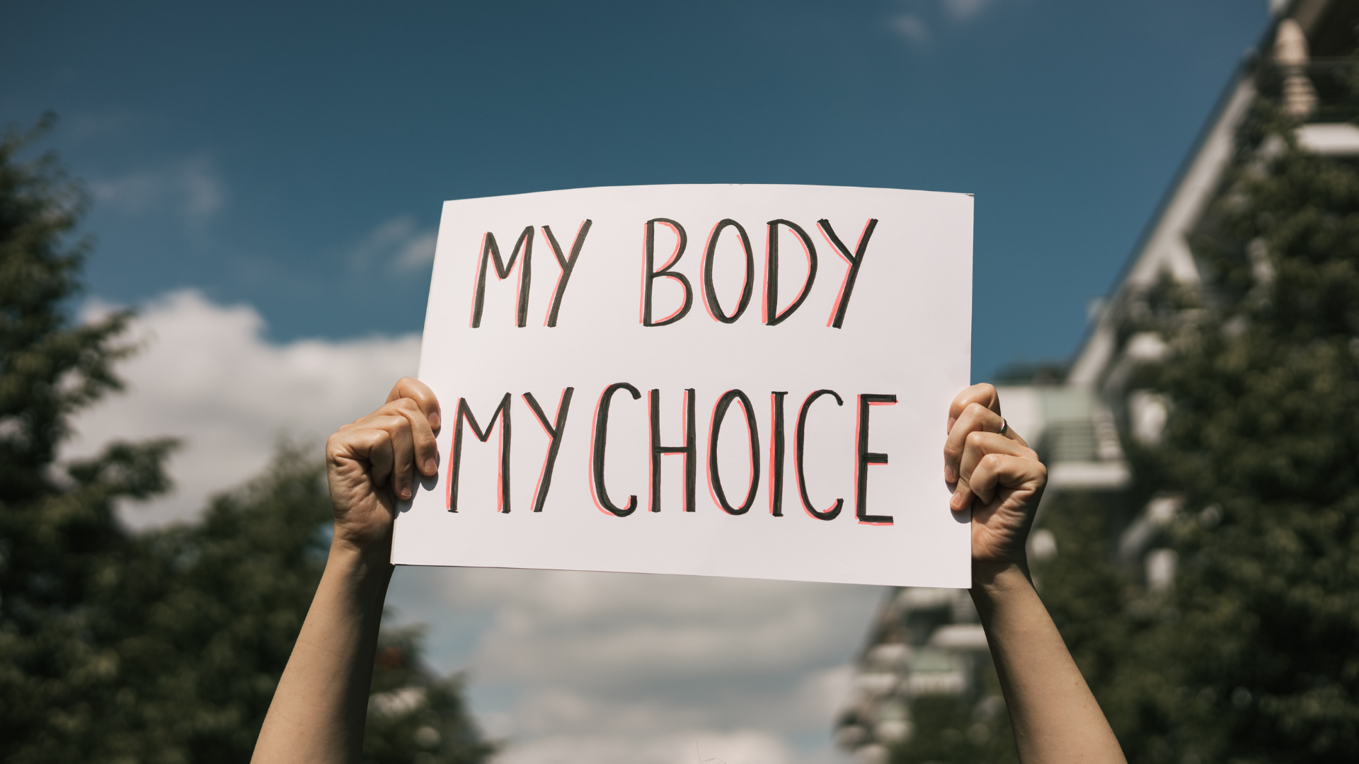 The Lie That Fits on a Protest Sign