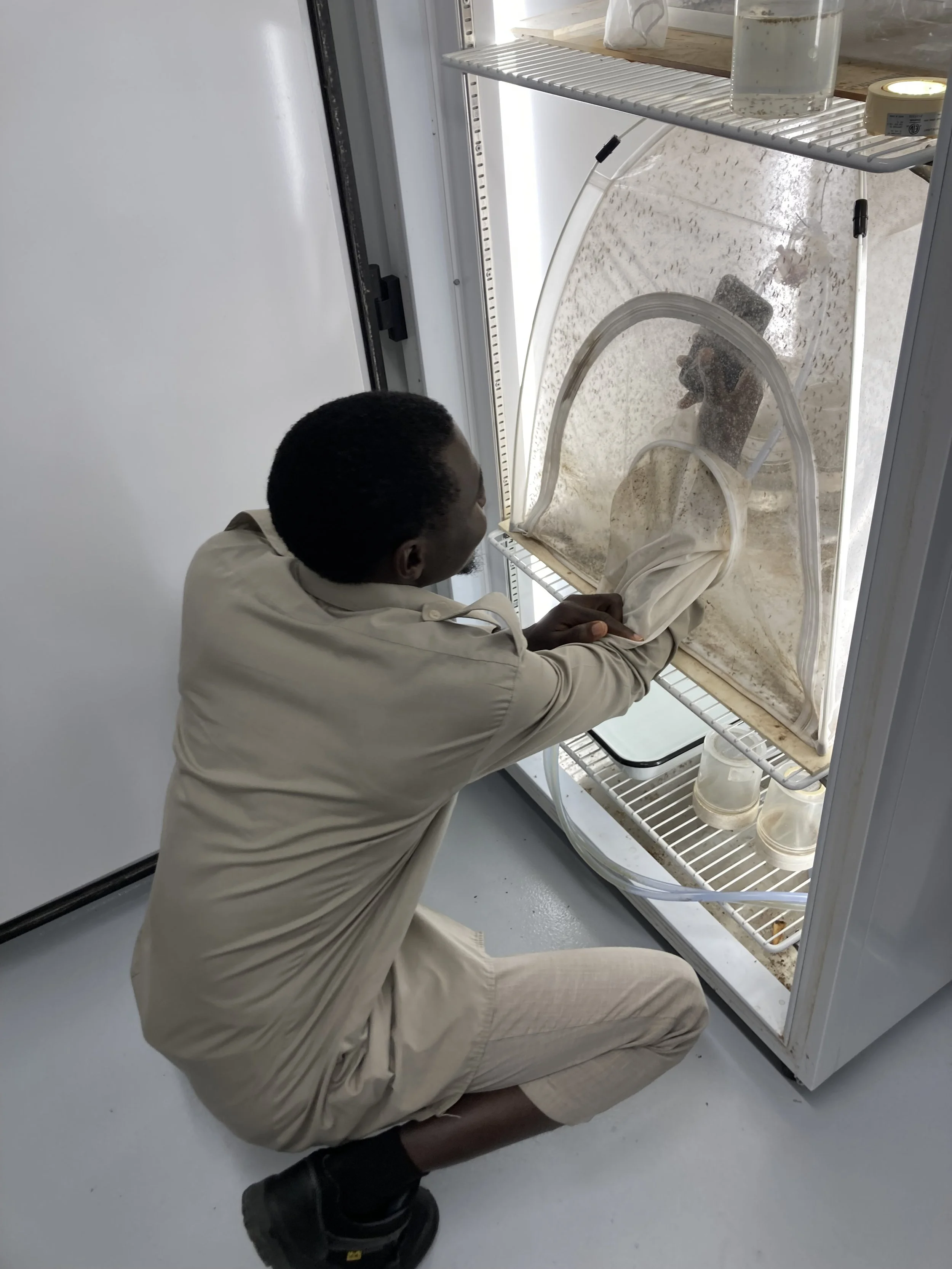 April 2026 Spotlight (Abdulafees Hamzat)