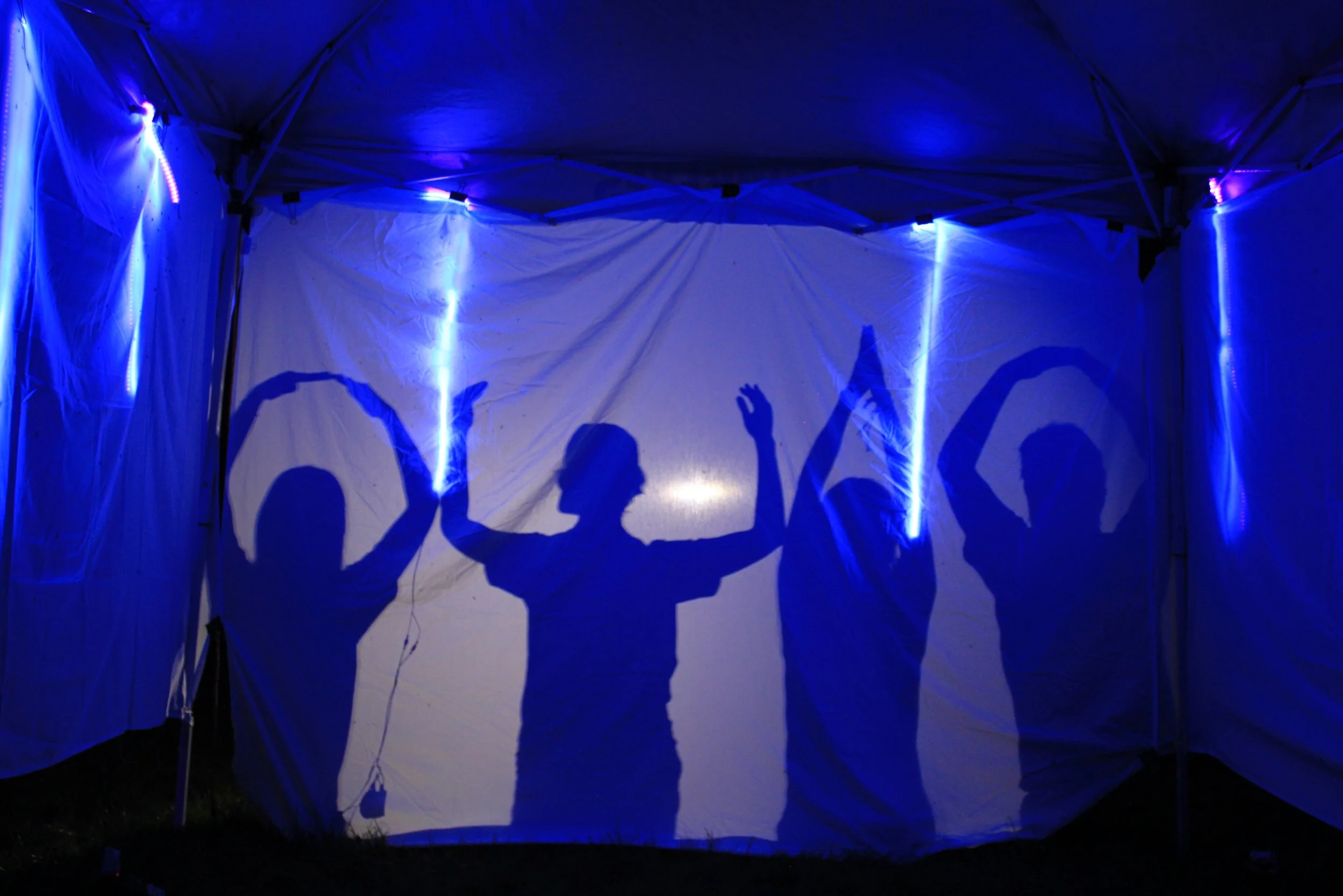2026 Mothing Night