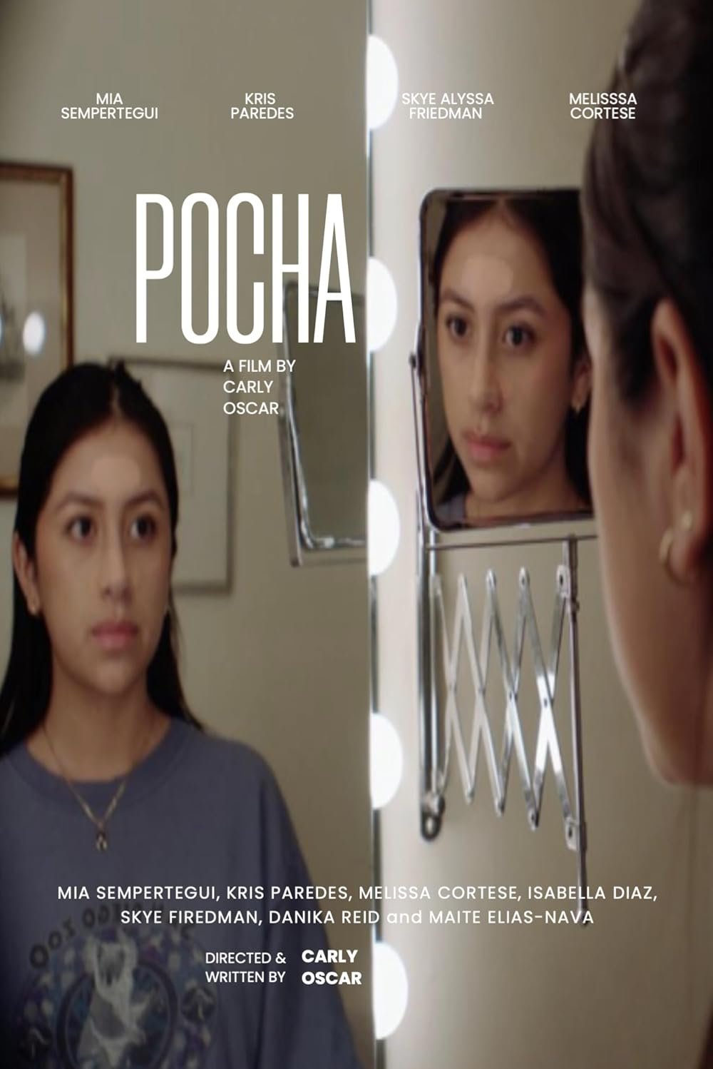 pocha.jpg