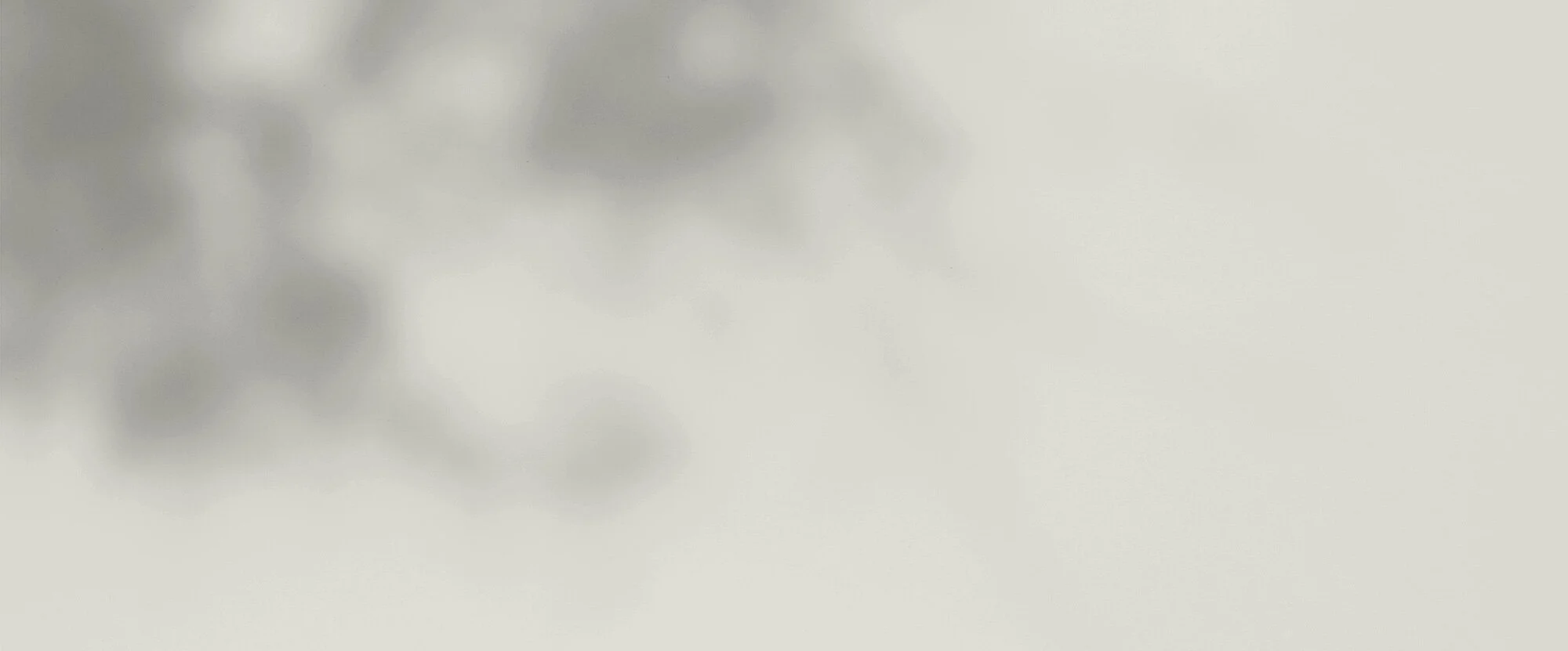 Background 1 - Email Footer.JPG