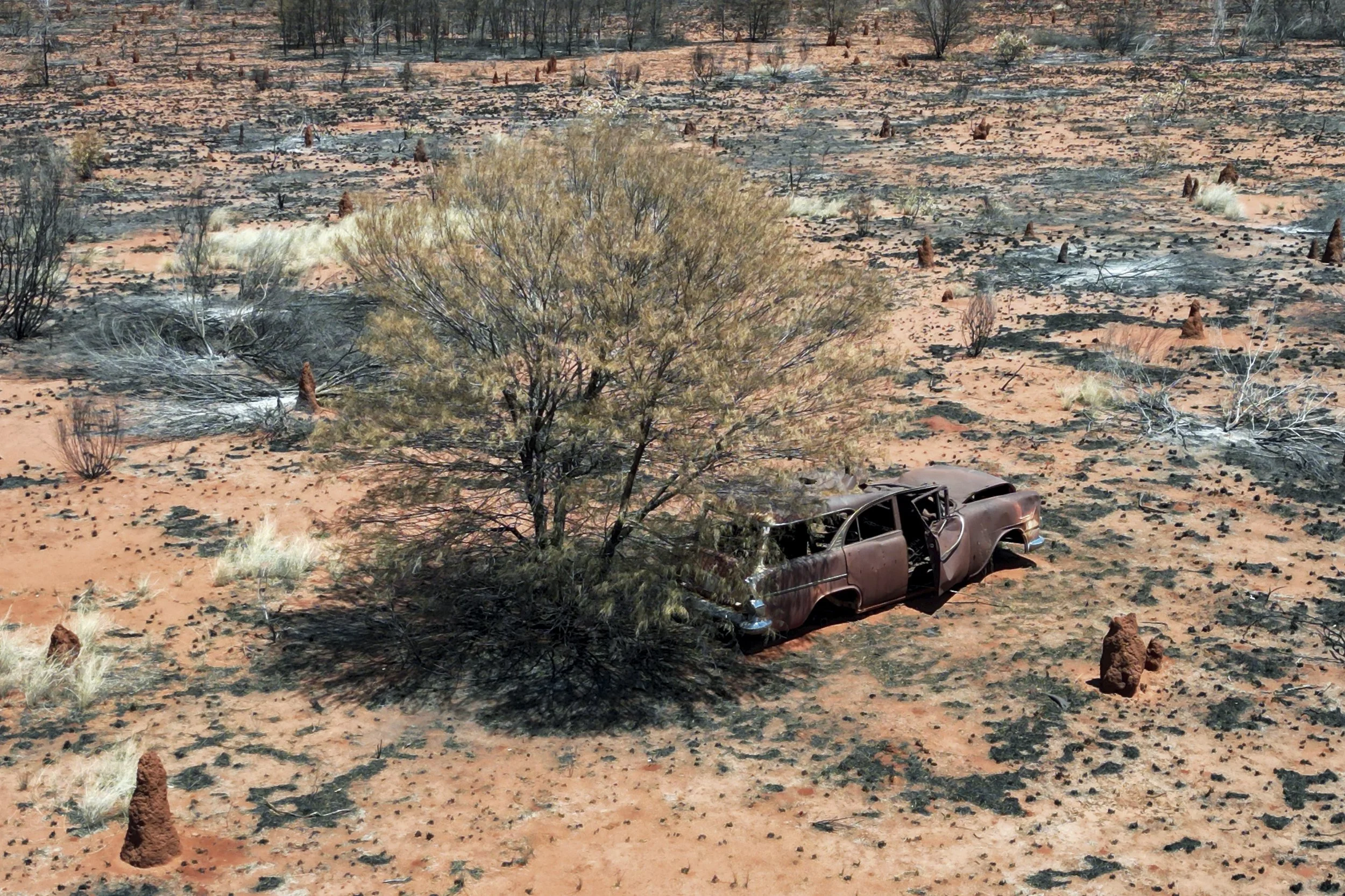 13_LetschMirjam_LeftBehind_2024.jpg