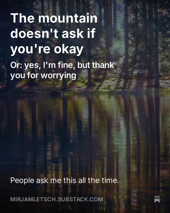 𝐃𝐄𝐕𝐀𝐒𝐓𝐀𝐓𝐄𝐃 &bull; So. To all my dear, sweet, wonderfully concerned friends who ask, with furrowed brows and kind intentions, whether I&rsquo;m really alright up there &mdash; all alone on my French mountain, no neighbours, no signal, just a