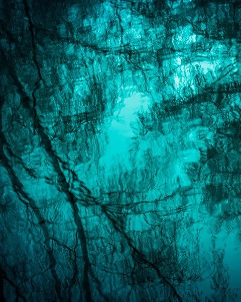 𝐃𝐑𝐄𝐀𝐌 &bull; Trees that are perfectly ordinary in daylight become something else entirely when the sky turns and the water catches it &mdash; dark lines fracturing across turquoise, branches dissolving into veins, the whole familiar world rearra