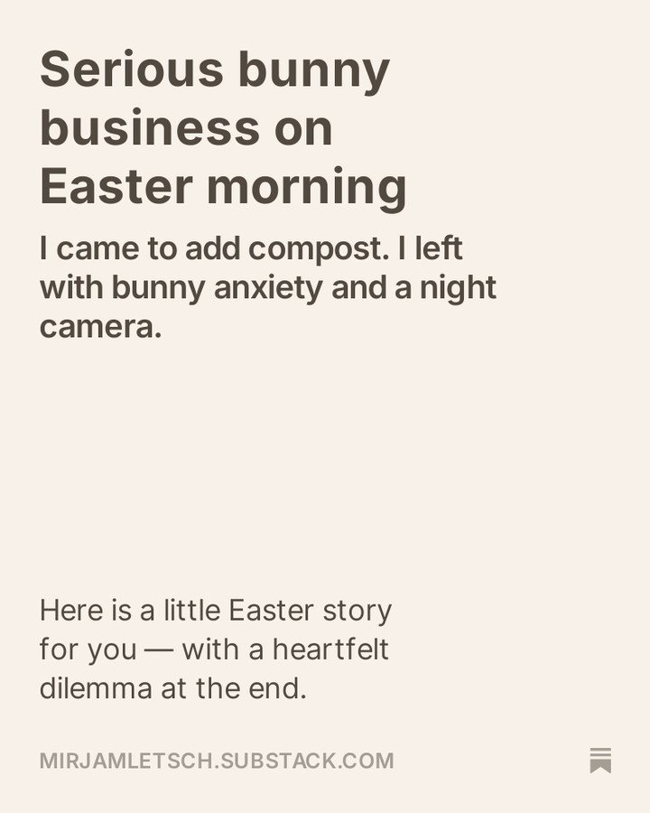 𝐍𝐄𝐖 𝐒𝐔𝐁𝐒𝐓𝐀𝐂𝐊 𝐏𝐎𝐒𝐓! 𝐋𝐢𝐧𝐤 𝐢𝐧 𝐩𝐫𝐨𝐟𝐢𝐥𝐞.

#wildlifephotography #leveret #europeanhare #lepuseuropaeus #wildlife_captures #naturephotography #wildportraits #babyanimals #dutchwildlife #nederlandsewildlife #natuurfotografie #wild