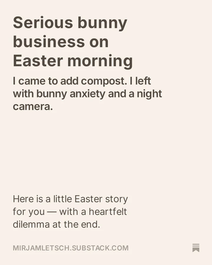 𝐍𝐄𝐖 𝐒𝐔𝐁𝐒𝐓𝐀𝐂𝐊 𝐏𝐎𝐒𝐓! 𝐋𝐢𝐧𝐤 𝐢𝐧 𝐩𝐫𝐨𝐟𝐢𝐥𝐞.

#wildlifephotography #leveret #europeanhare #lepuseuropaeus #wildlife_captures #naturephotography #wildportraits #babyanimals #dutchwildlife #nederlandsewildlife #natuurfotografie #wild