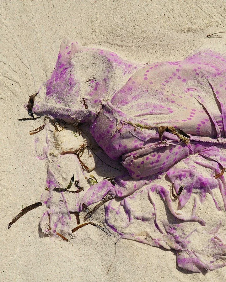 𝐇𝐔𝐍𝐆𝐑𝐘 𝐄𝐘𝐄 &bull; 𝐄𝐀𝐒𝐓 𝐀𝐅𝐑𝐈𝐂𝐀𝐍 𝐅𝐀𝐒𝐇𝐈𝐎𝐍
A piece of fabric. Half-buried in sand.
You might walk past it. I couldn't.

This is a 𝘒𝘢𝘯𝘨𝘢 &mdash; a cloth worn across East Africa, printed with colour and proverb, tied around 