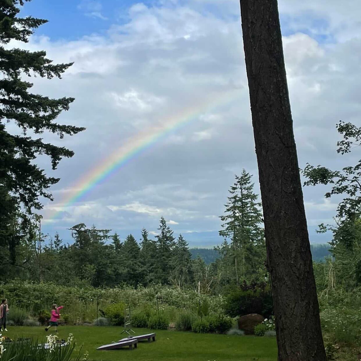 You don&rsquo;t need clear skies to get a good view at the winery. @missmi123 caught this rainbow yesterday. We have space still this weekend if you&rsquo;d like to join us.