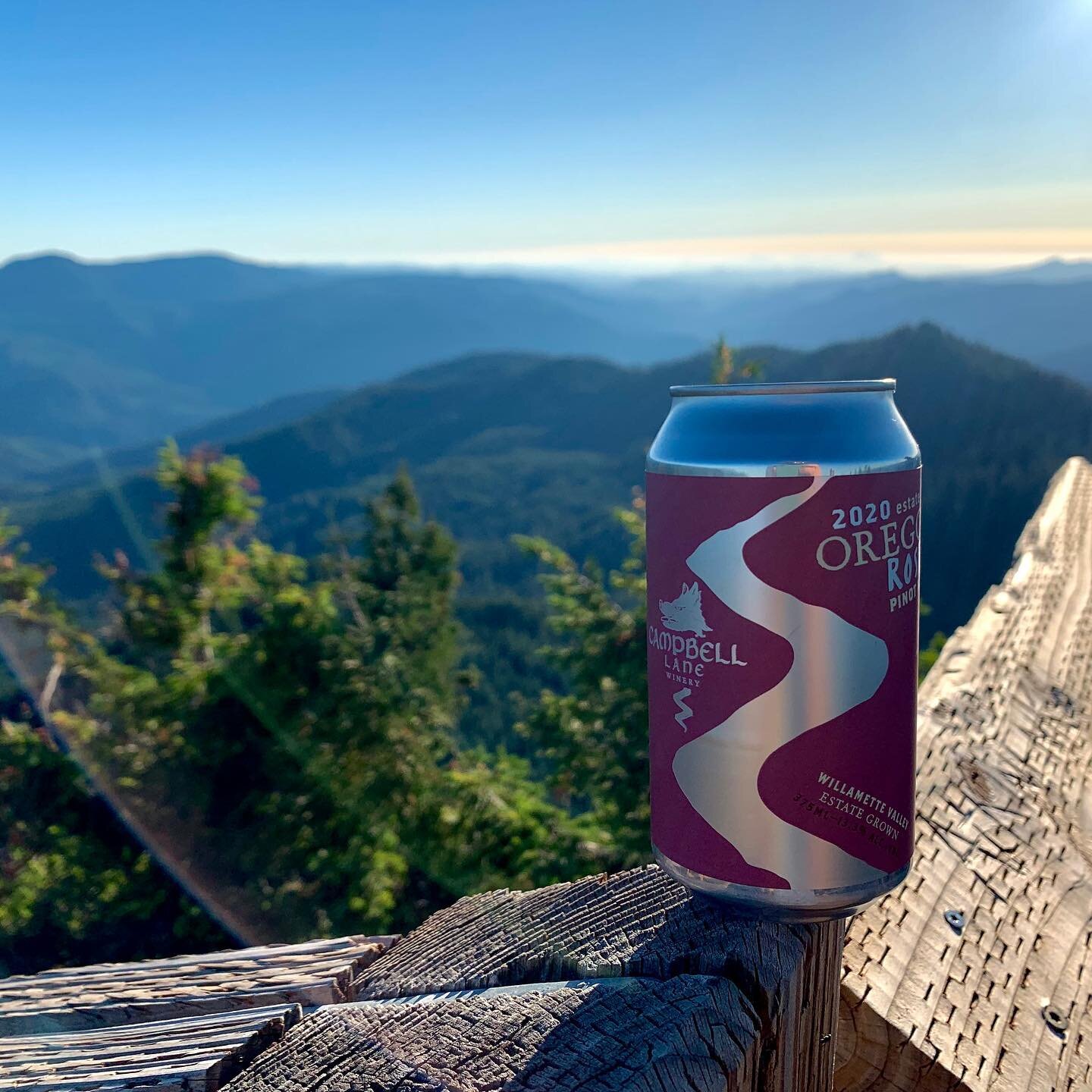 Wine in the wild! 
Our canned ros&eacute; and Pinot gris are perfect to take along on your adventures through Oregon and beyond.
