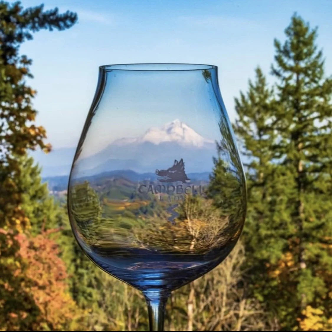 Wine Club Pinot Noir Tasting