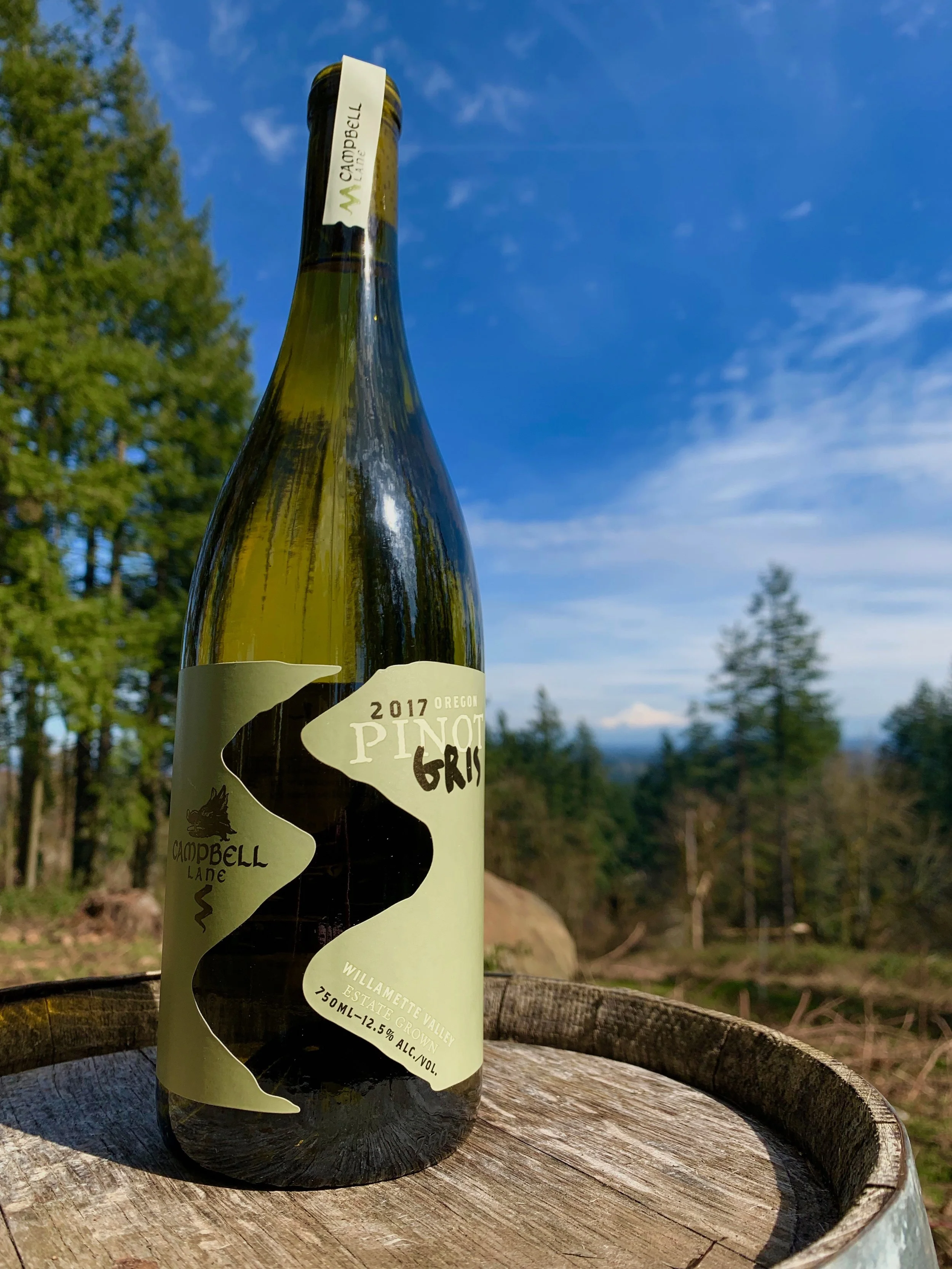 2017 Oregon Pinot Gris Bottle Shot Mt. Hood