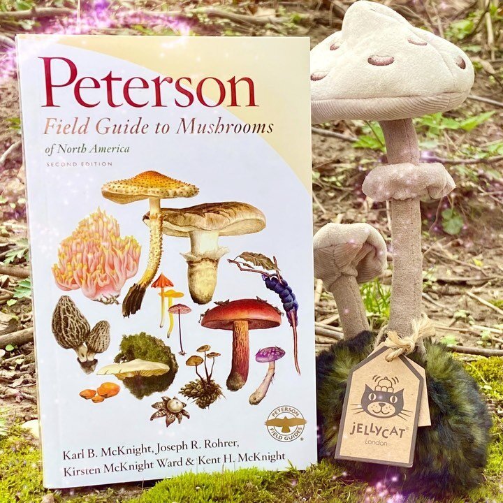 GOOD MUSHROOM!
BAD MUSHROOM! 
FAVORITE MUSHROOM:
🍄The Parasol Mushroom@Jellycat! 

🍄
🍄
🍄
🍄
🍄
🍄
🍄
🍄
🍄
🍄
🍄
#mydccool #shopsmalldc #smallbiz #shoplocal #supportsmallbusiness #visitdc #dcshopsmall #dc #igdc #mushrooms #fungusfriday #fungifrid