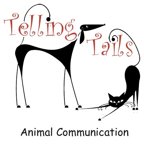Telling Tails Animal Communication