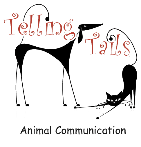 Telling Tails Animal Communication