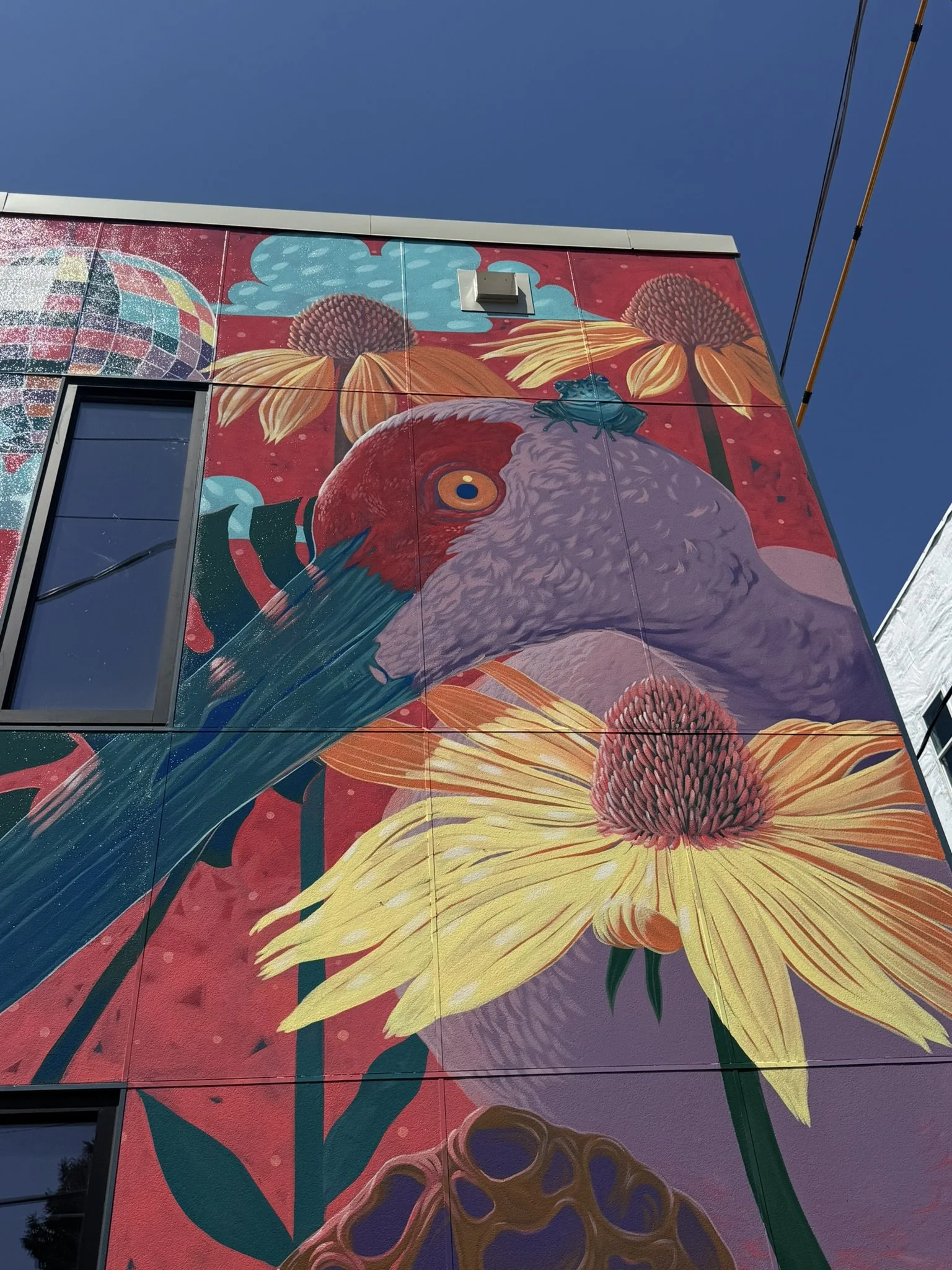 "We Dance At Dusk"
Detail
2026
Franklinton Arts District
Columbus, OH
Funded by Greater Columbus Arts Council and Franklinton Arts District