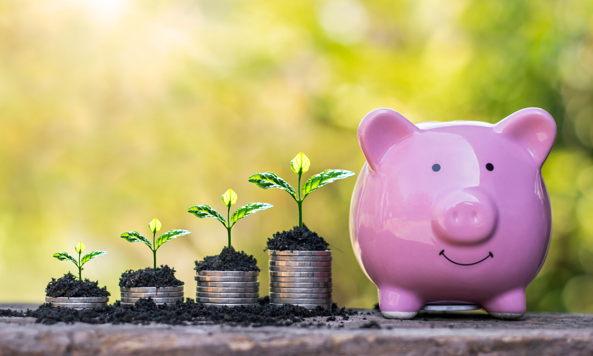 Money on the Mind: How to Break the Cycle of Financial Stress and Anxiety