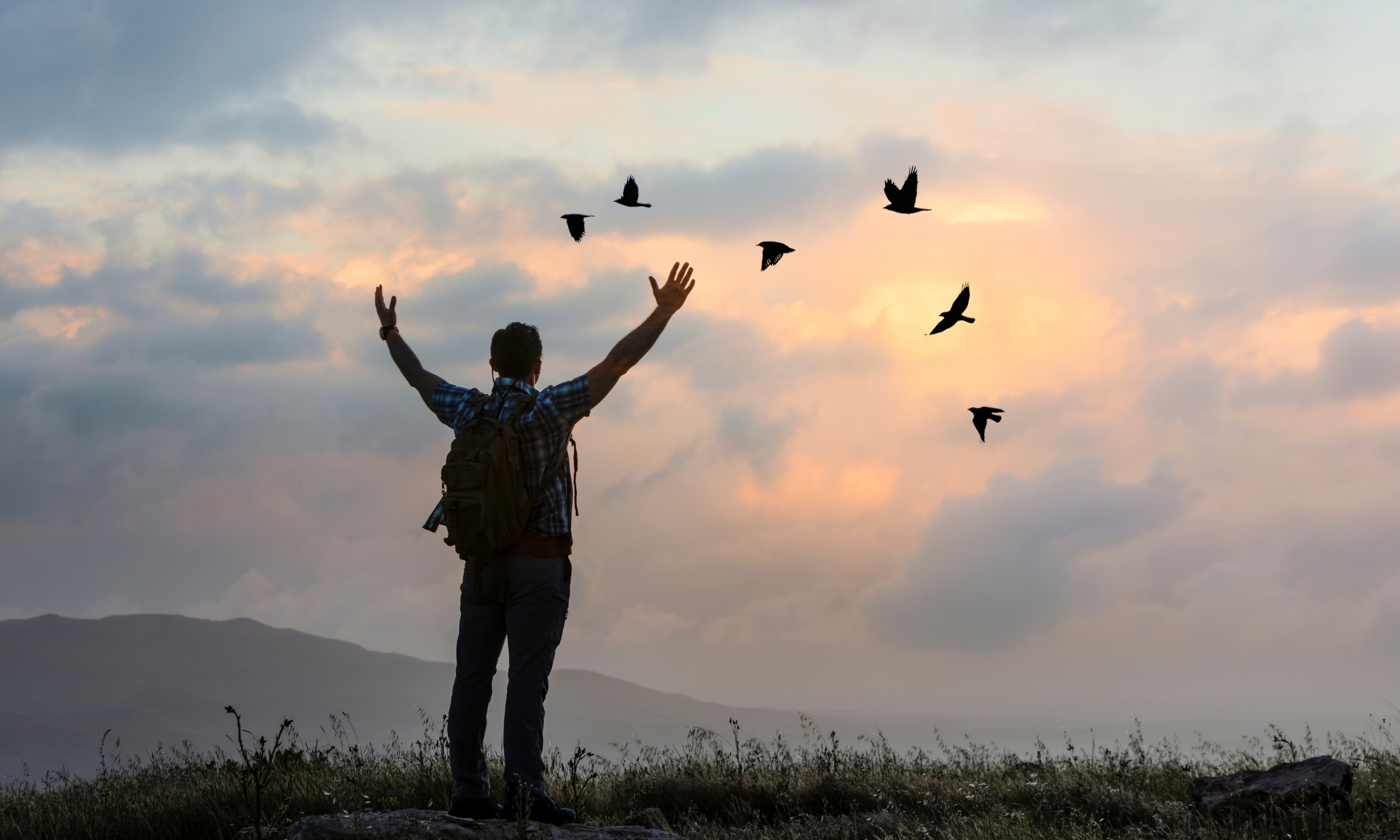 Joyful Independence: What True Freedom Looks Like