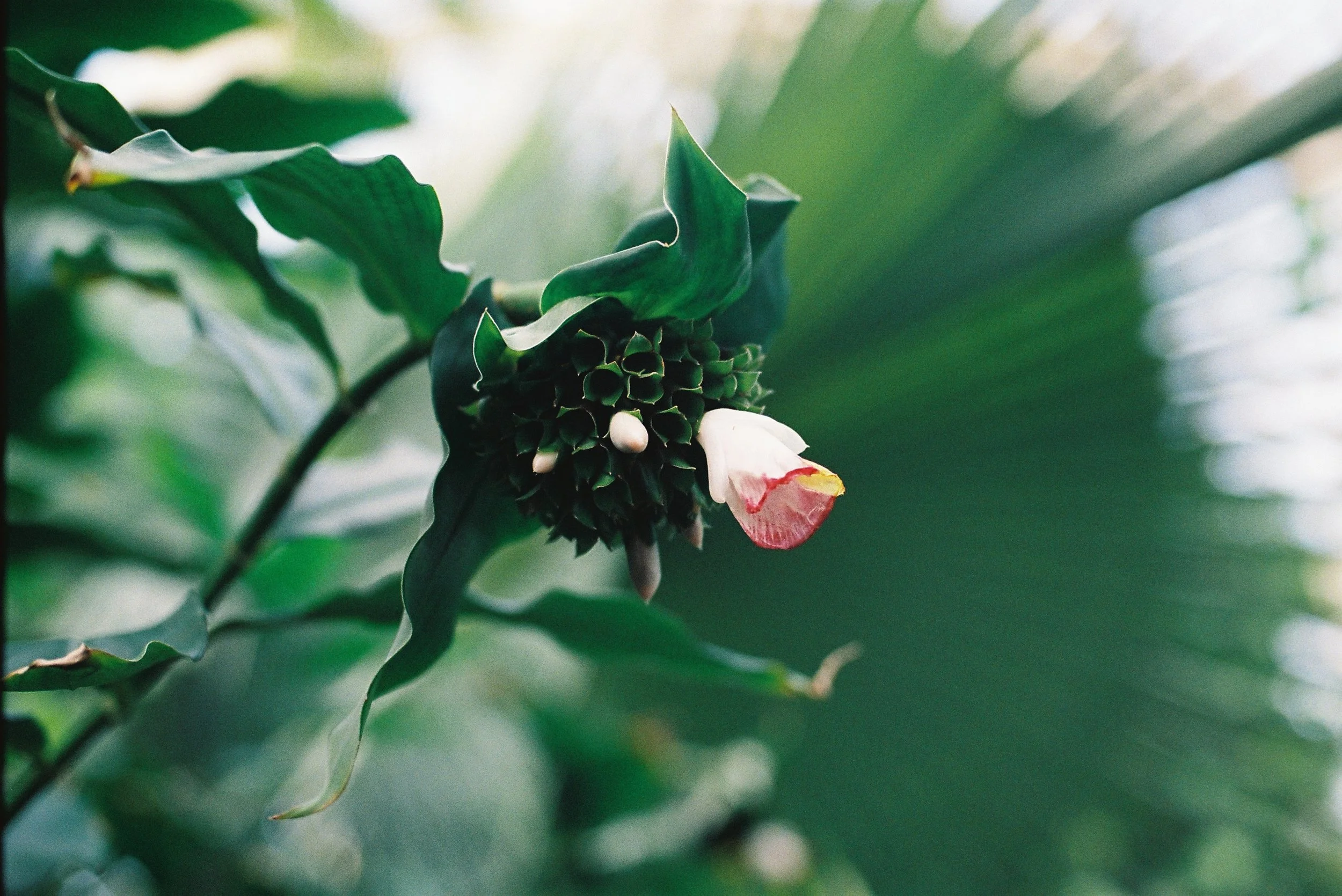 R1-00870-024A copy.JPG