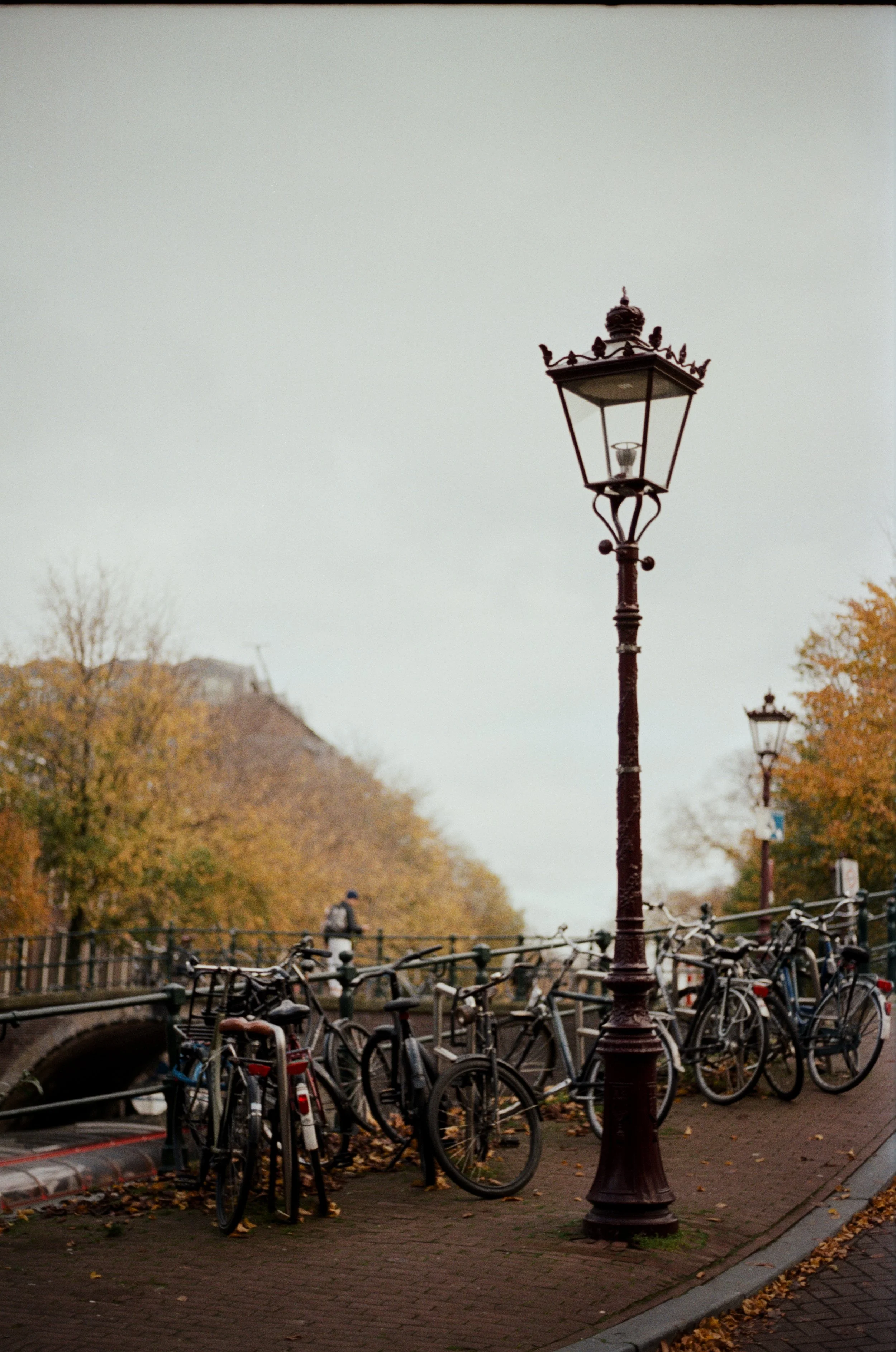 000347480018 copy-01.jpeg