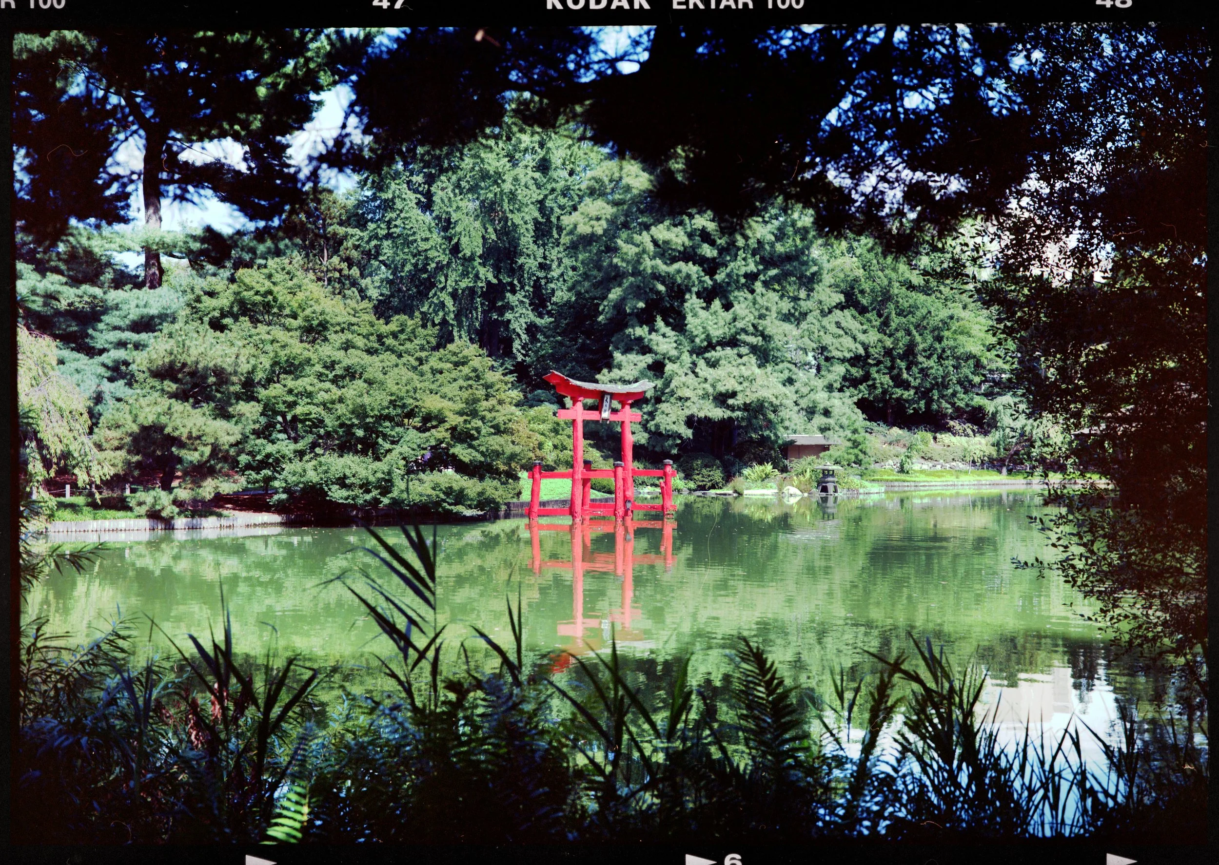 scan0001fuji690small2.jpg