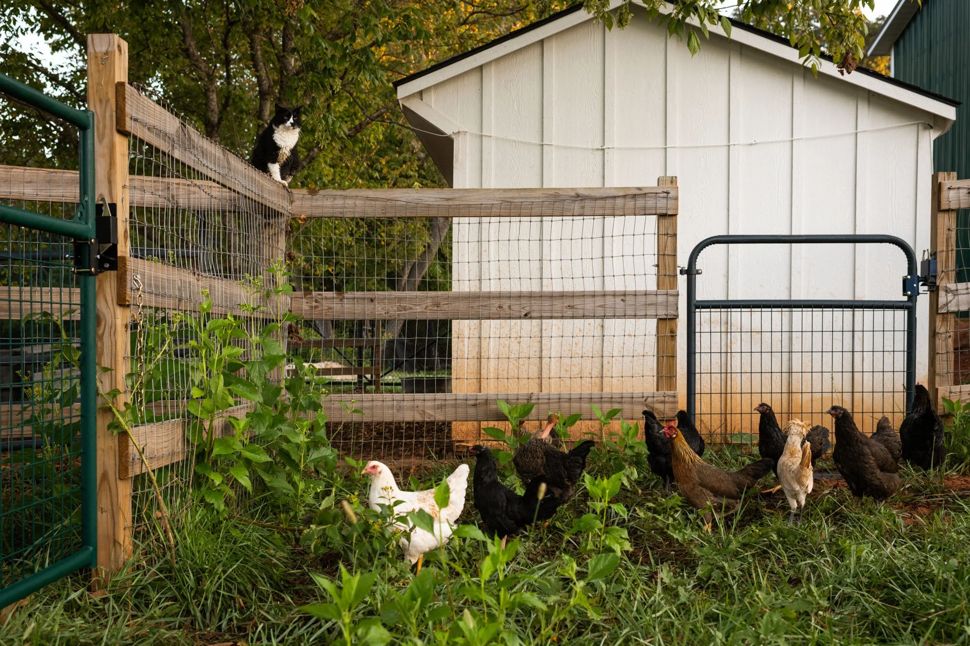 A Non-Profit Farm
