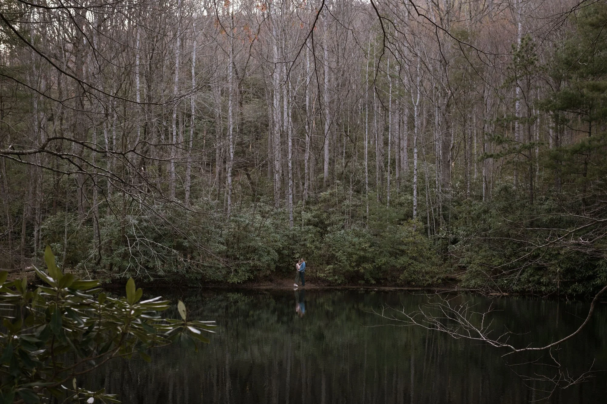 asheville engagement photographer-1.jpg