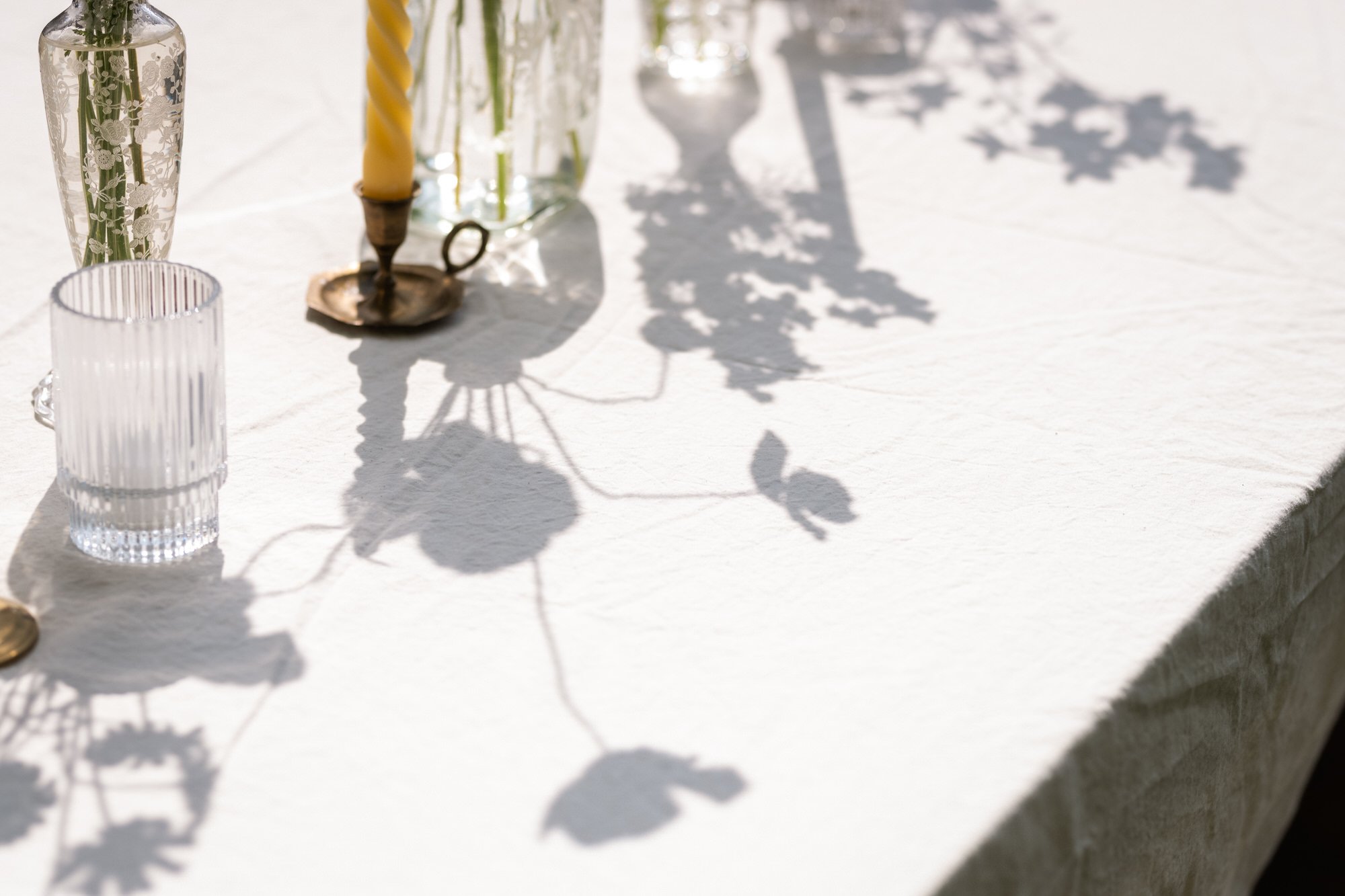 Planning a Backyard Wedding That Feels Magical