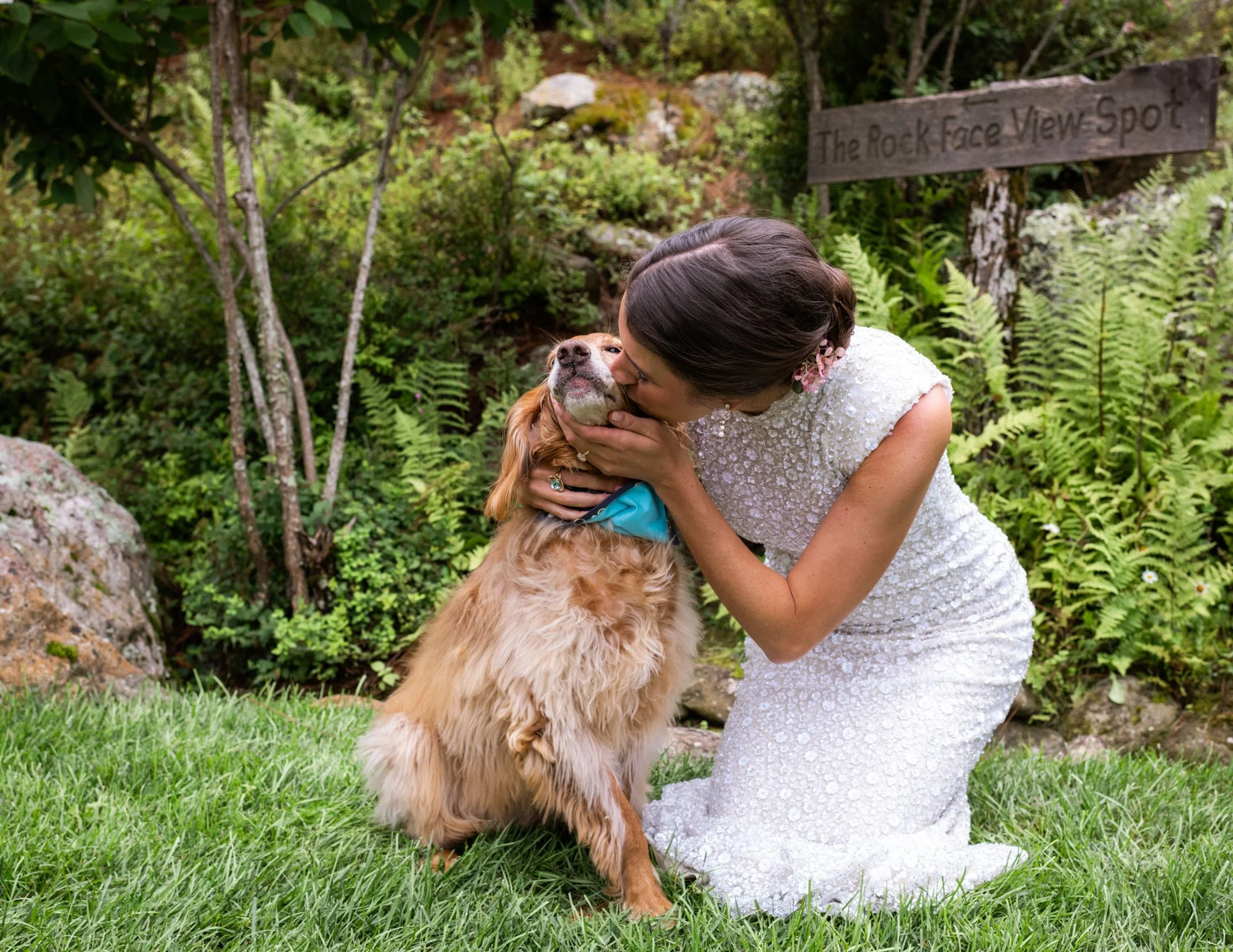 How to Include Your Dog in Your Wedding (without the stress)