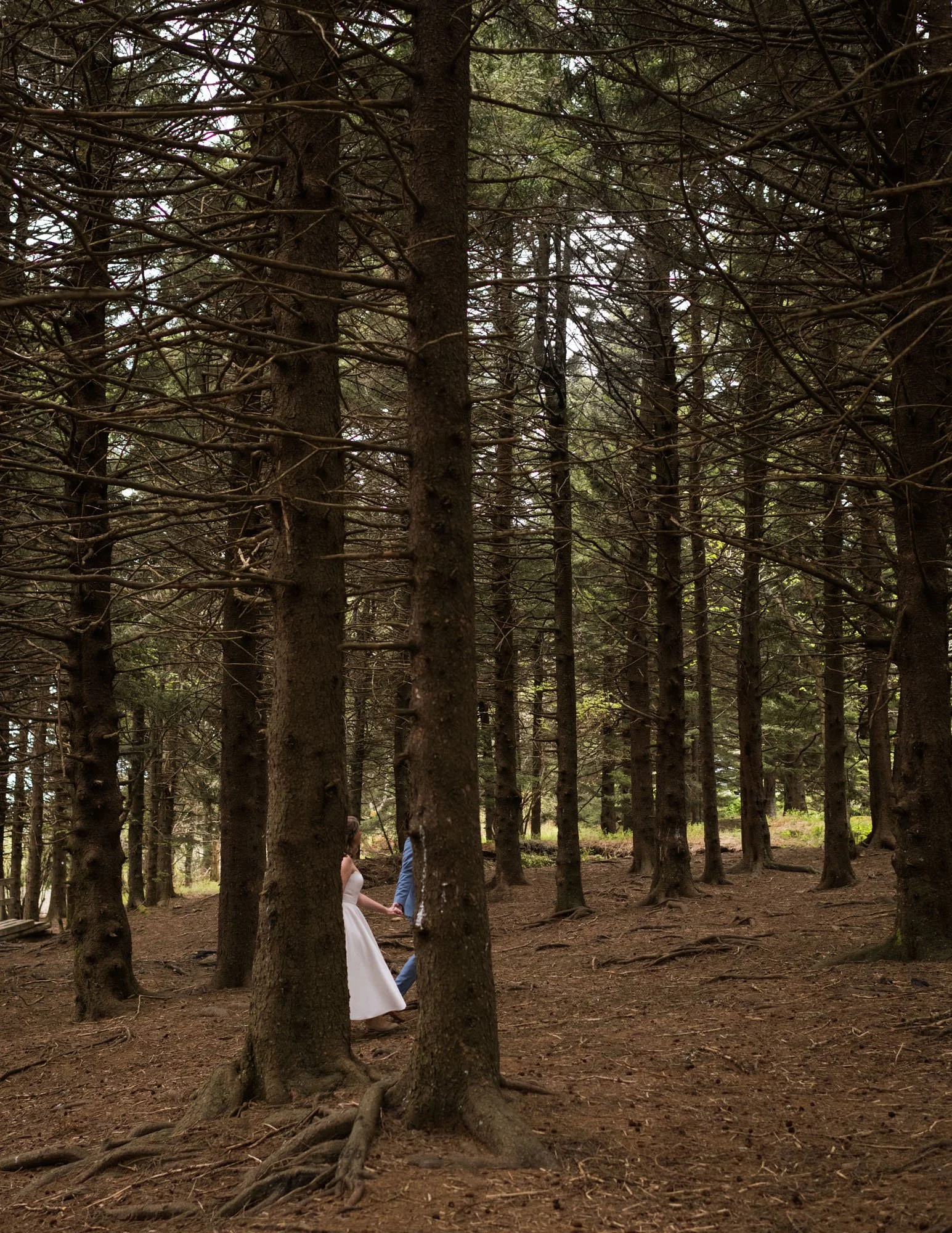 asheville wedding photographer-34.jpg